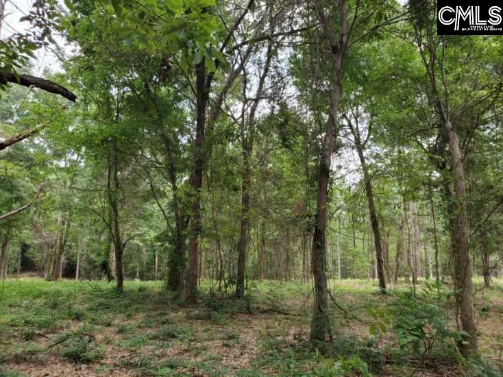 220 Courtland Road Chapin, SC 29036