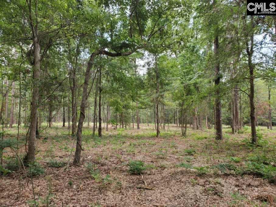 220 Courtland Road Chapin, SC 29036