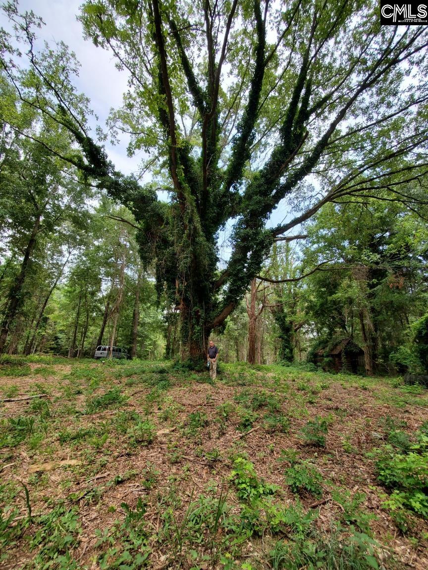 220 Courtland Road Chapin, SC 29036