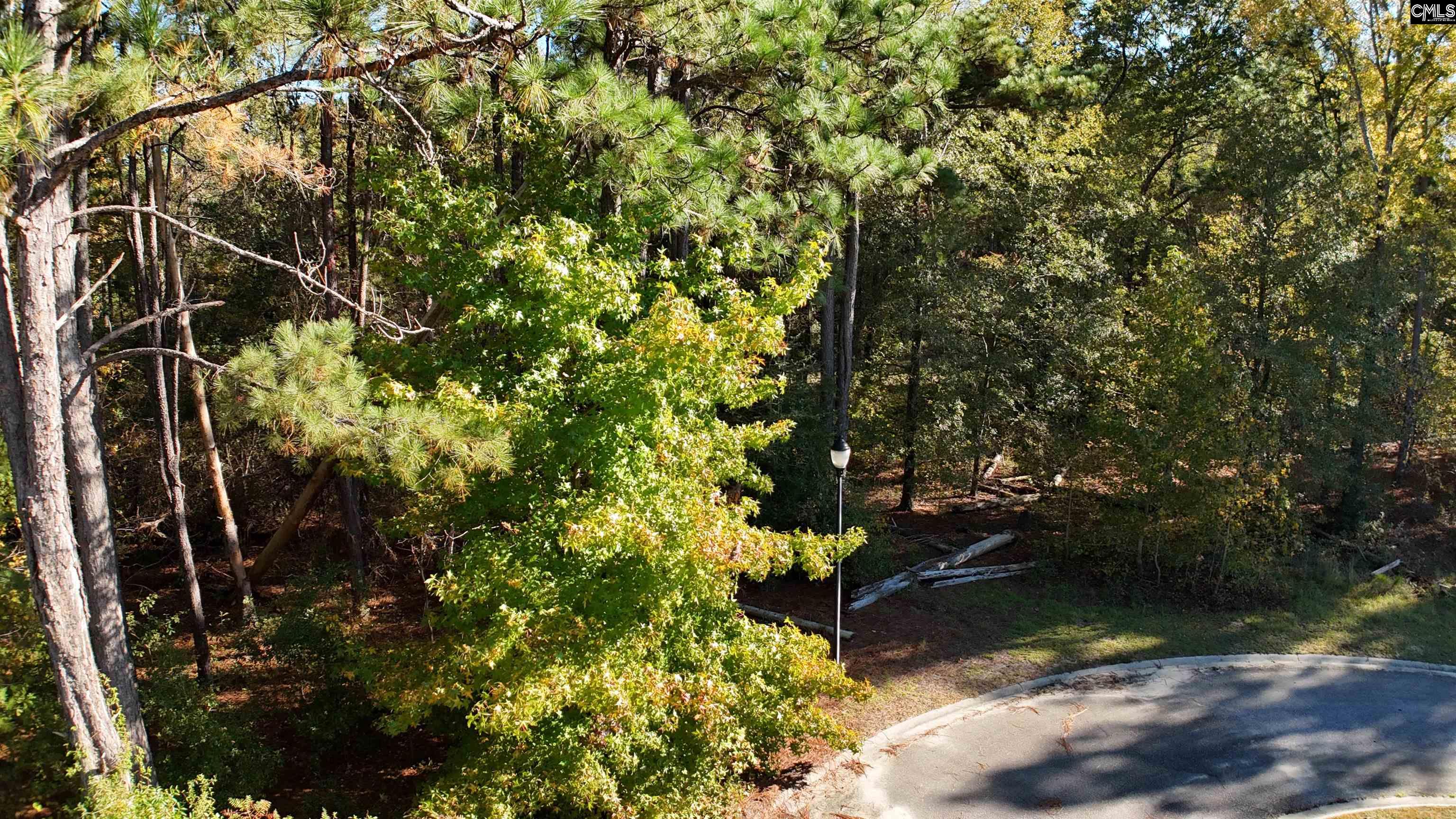 9 Legacy Court Camden, SC 29020-0000