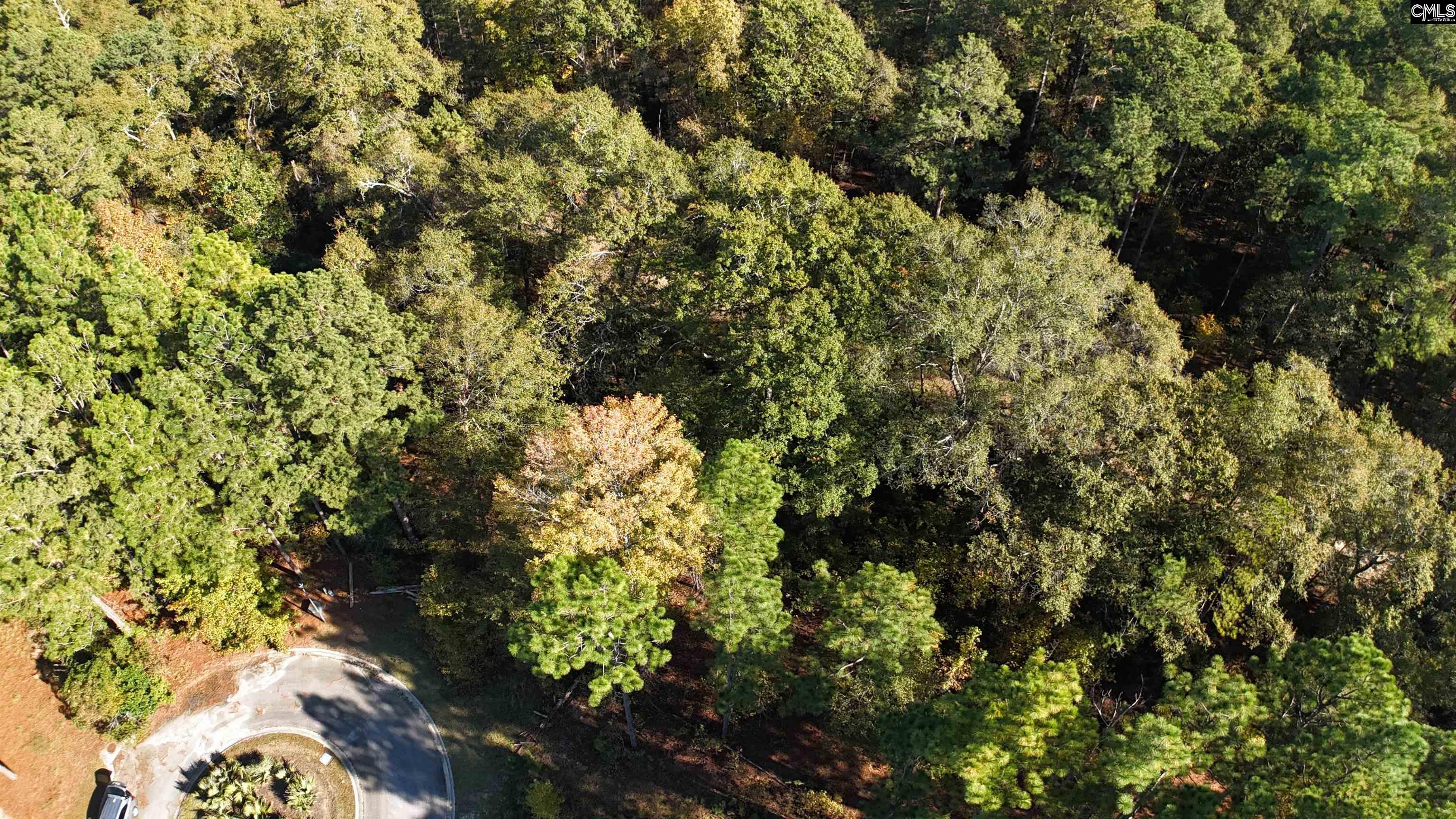 9 Legacy Court Camden, SC 29020-0000