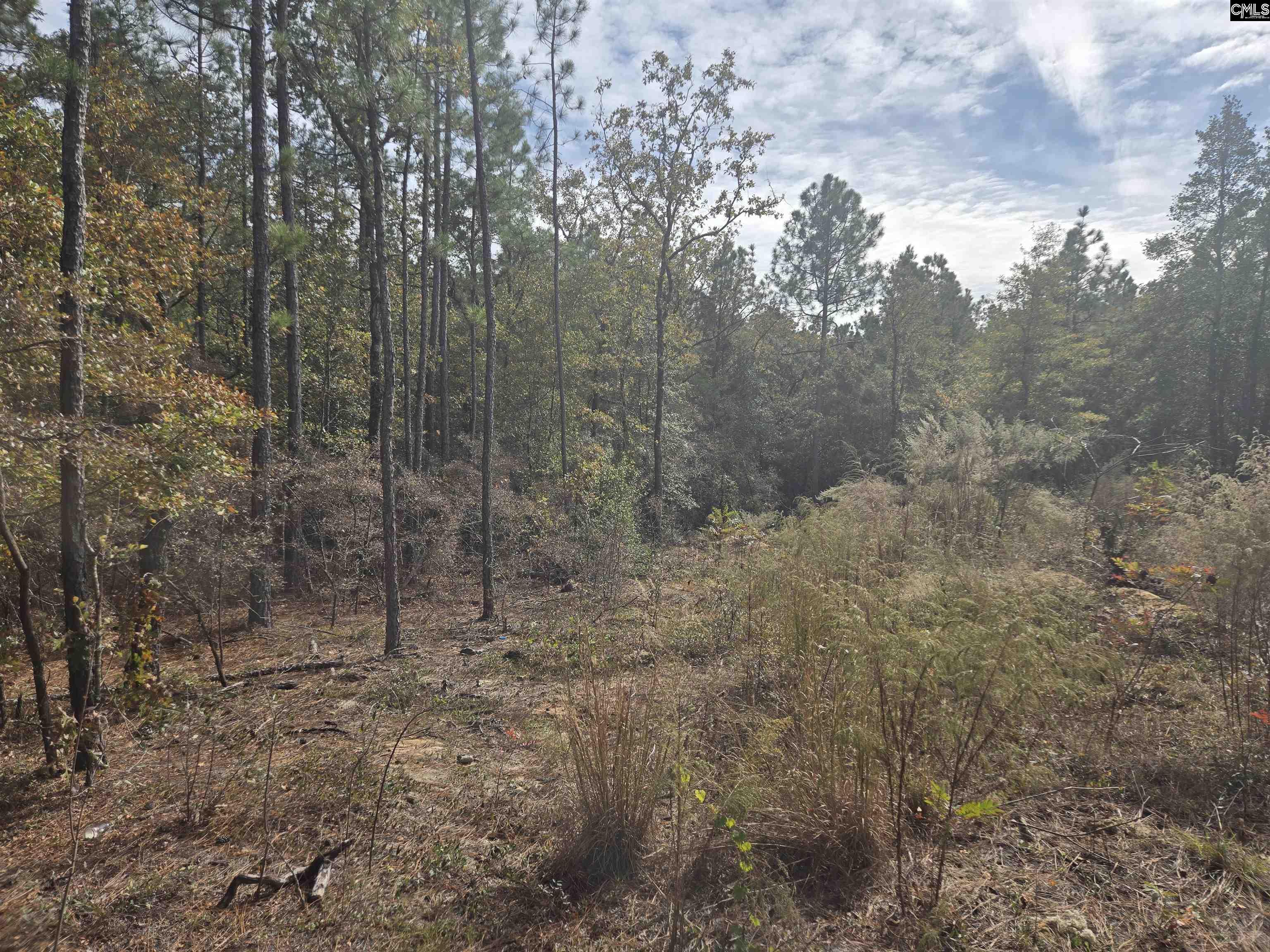 Ben Franklin Road Gilbert, SC 29054