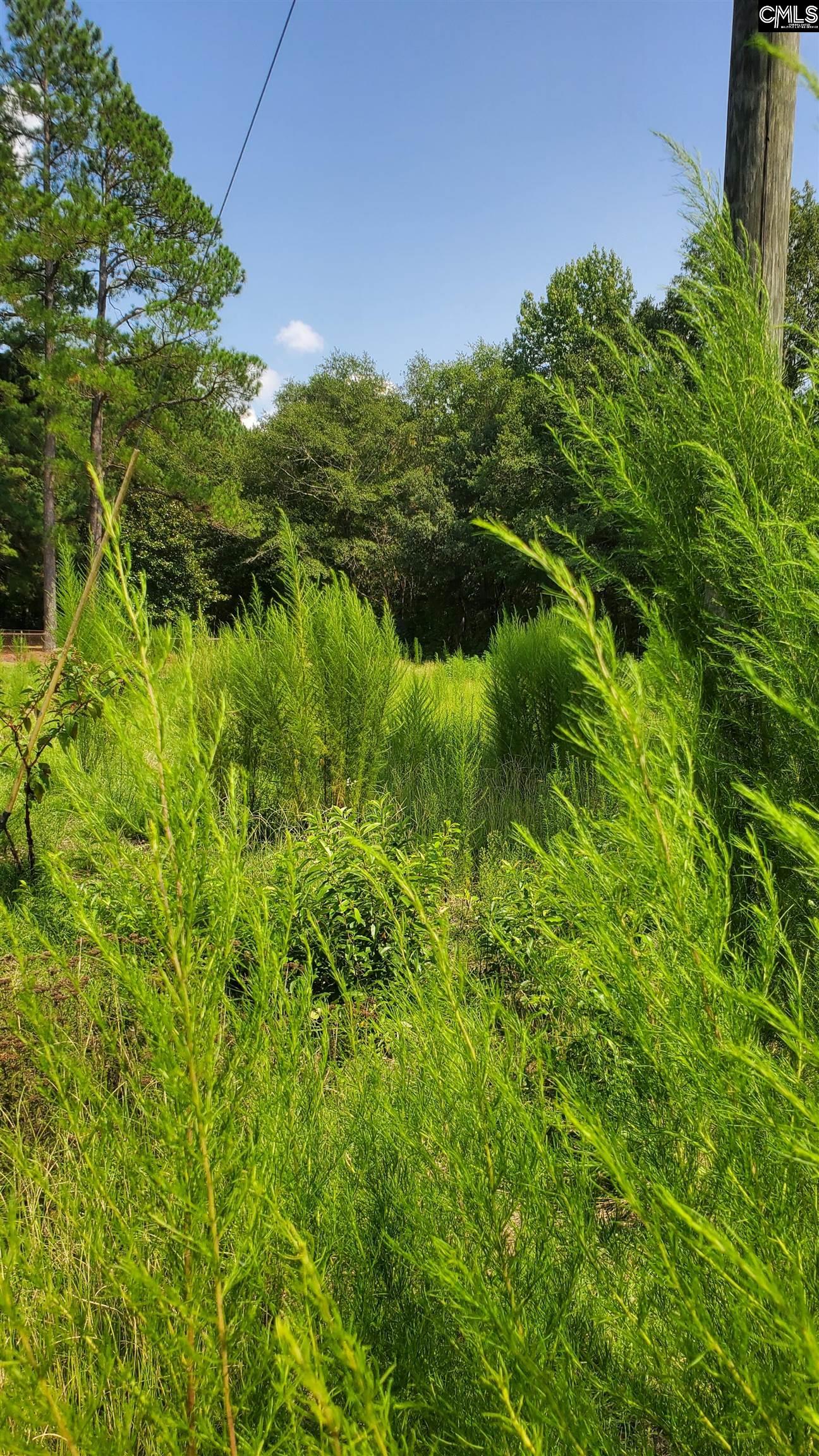 Ardis Road Pinewood, SC 29125