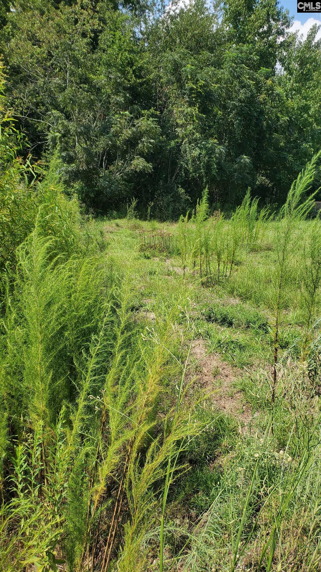 Ardis Road Pinewood, SC 29125