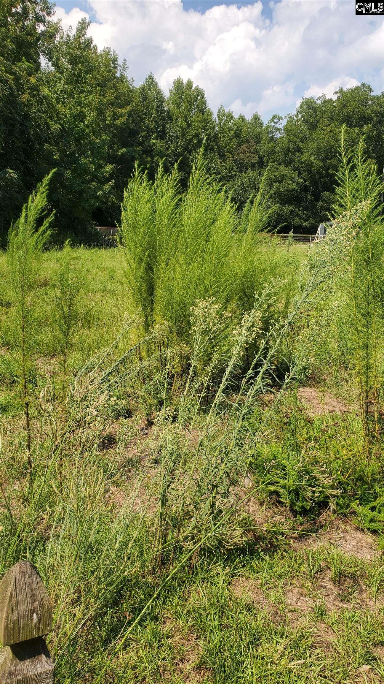 Ardis Road Pinewood, SC 29125