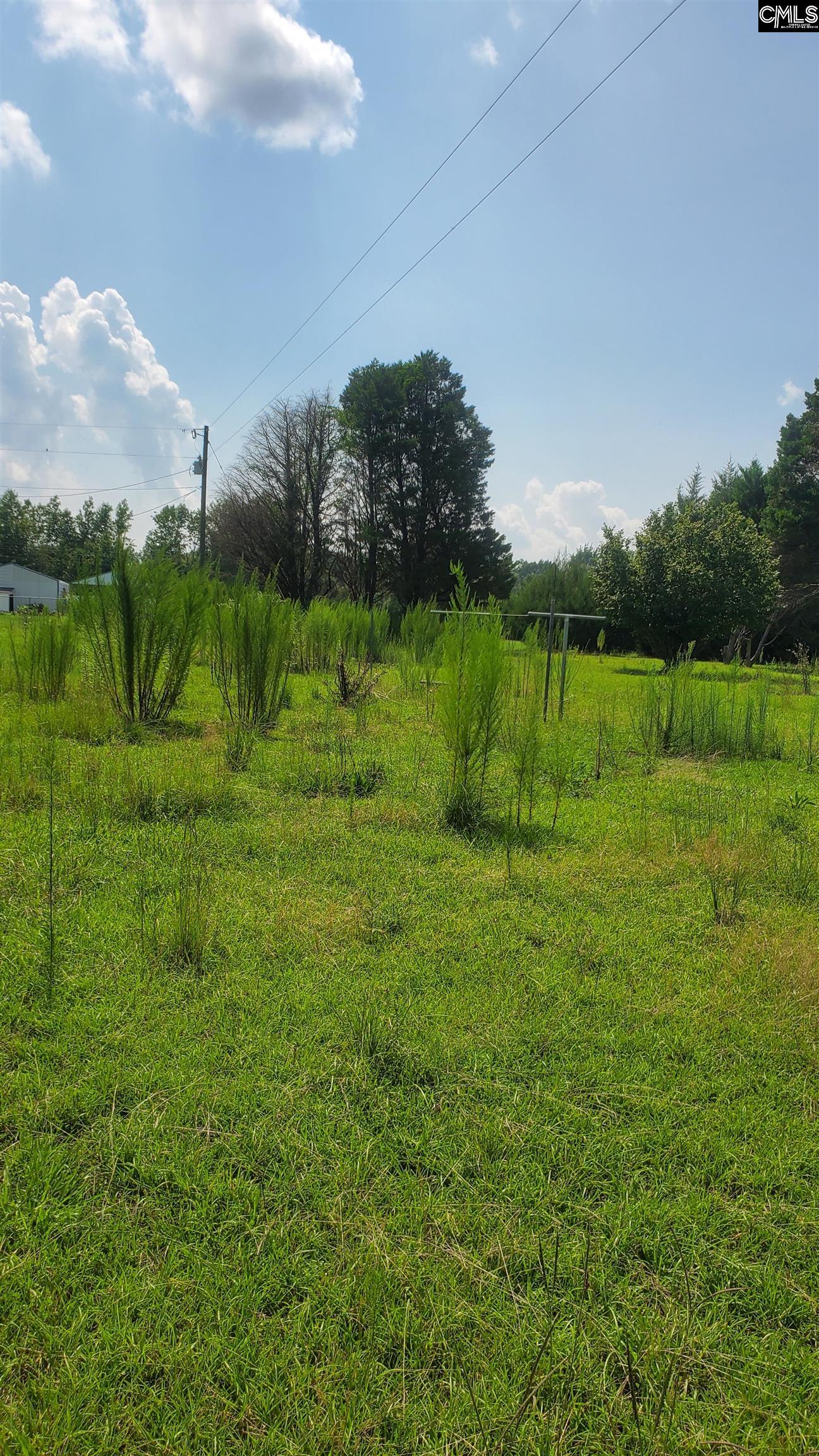 Ardis Road Pinewood, SC 29125