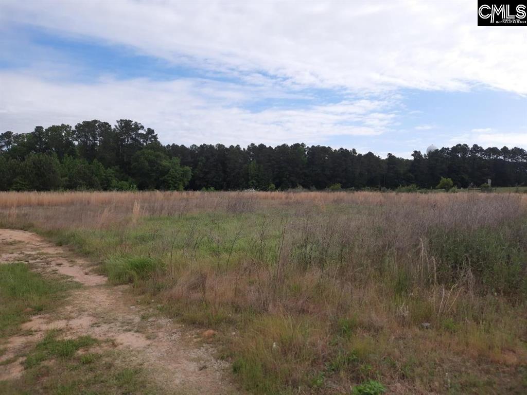 177 Thomas Griffin Road Newberry, SC 29108