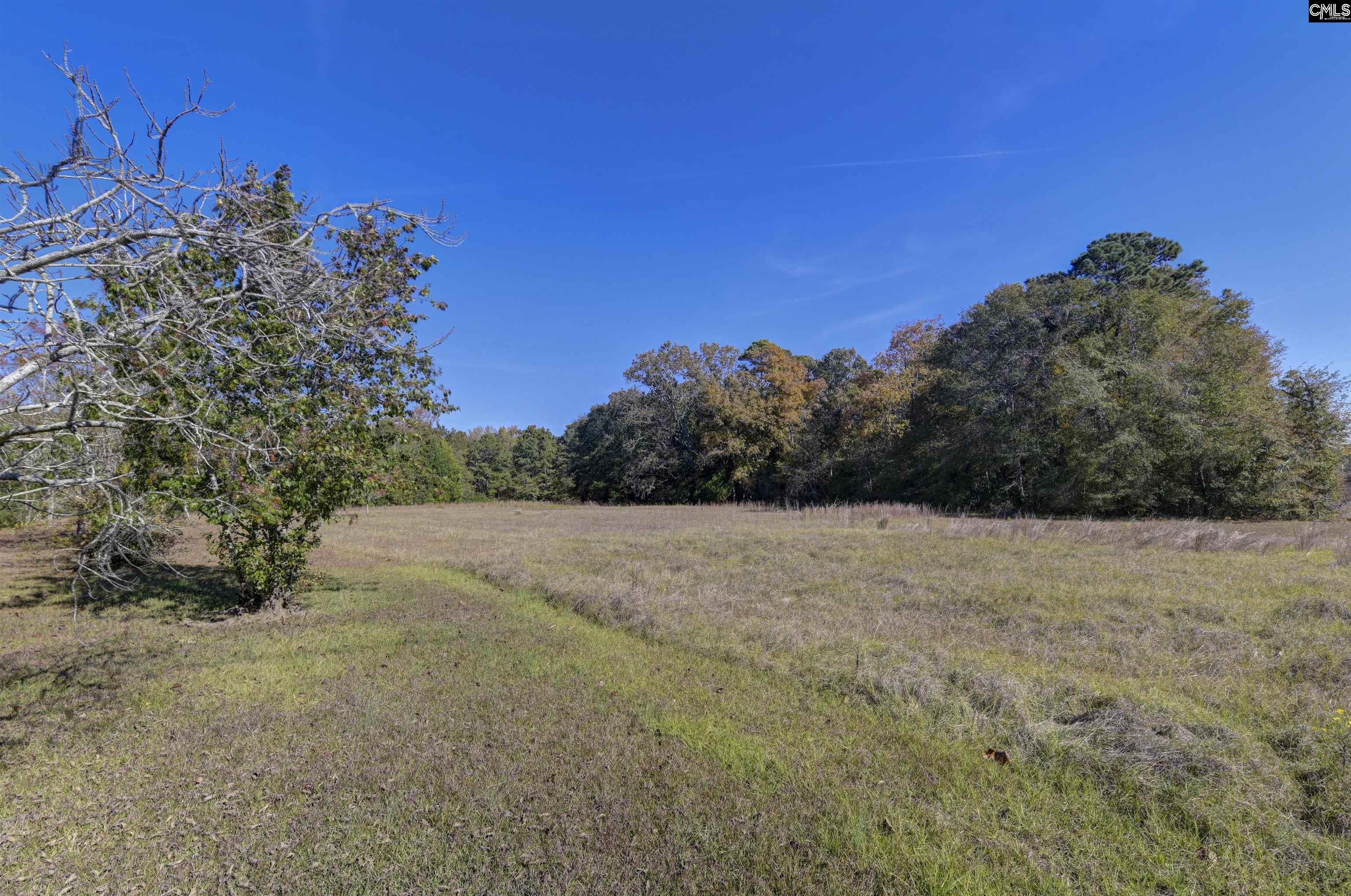 5346 Augusta Highway Leesville, SC 29070