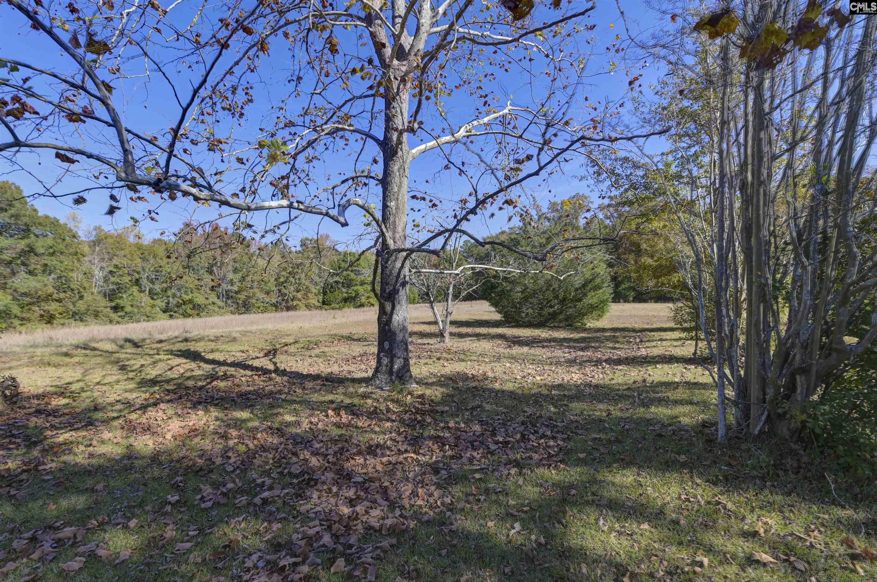 5346 Augusta Highway Leesville, SC 29070