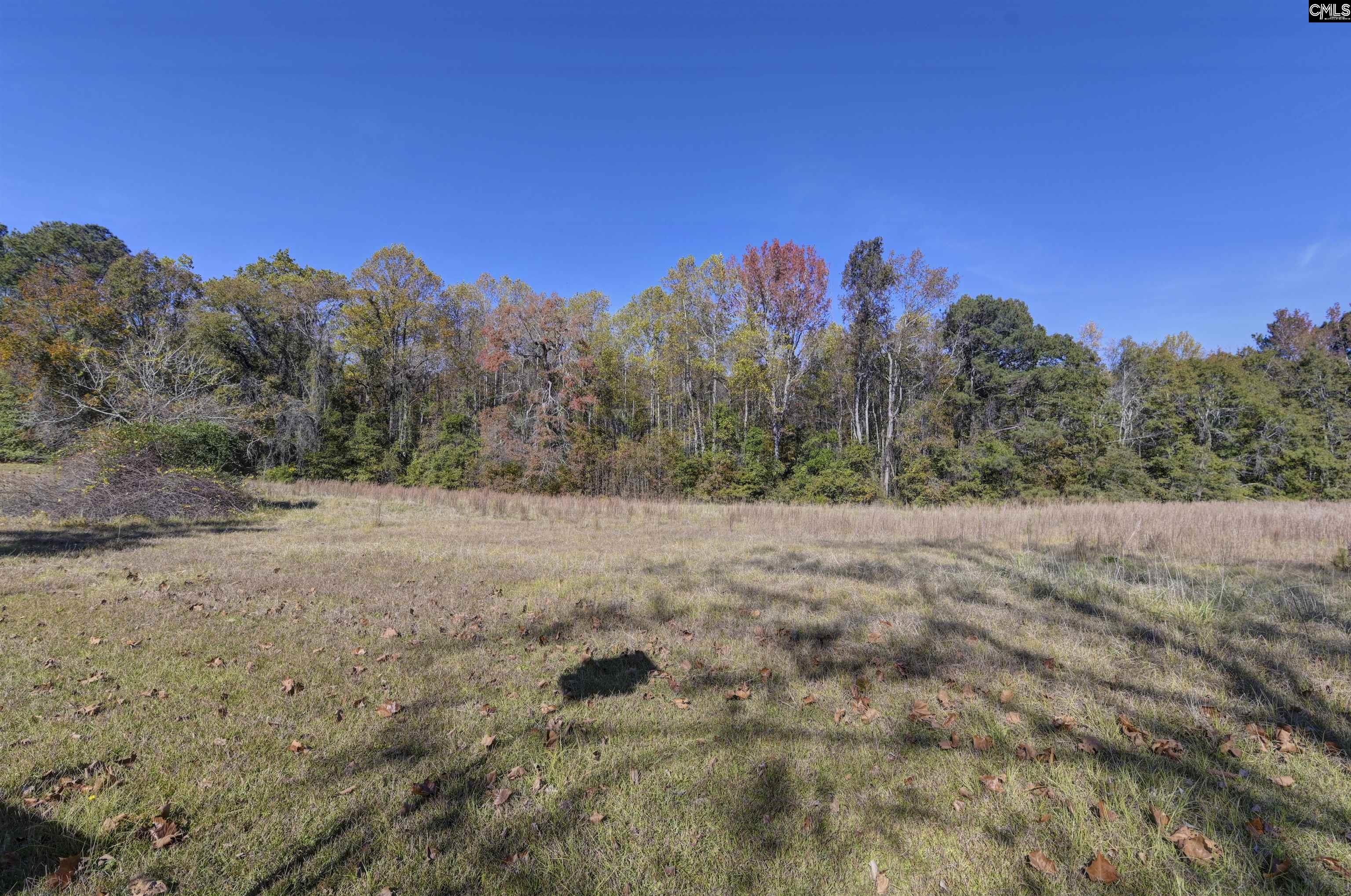 5346 Augusta Highway Leesville, SC 29070