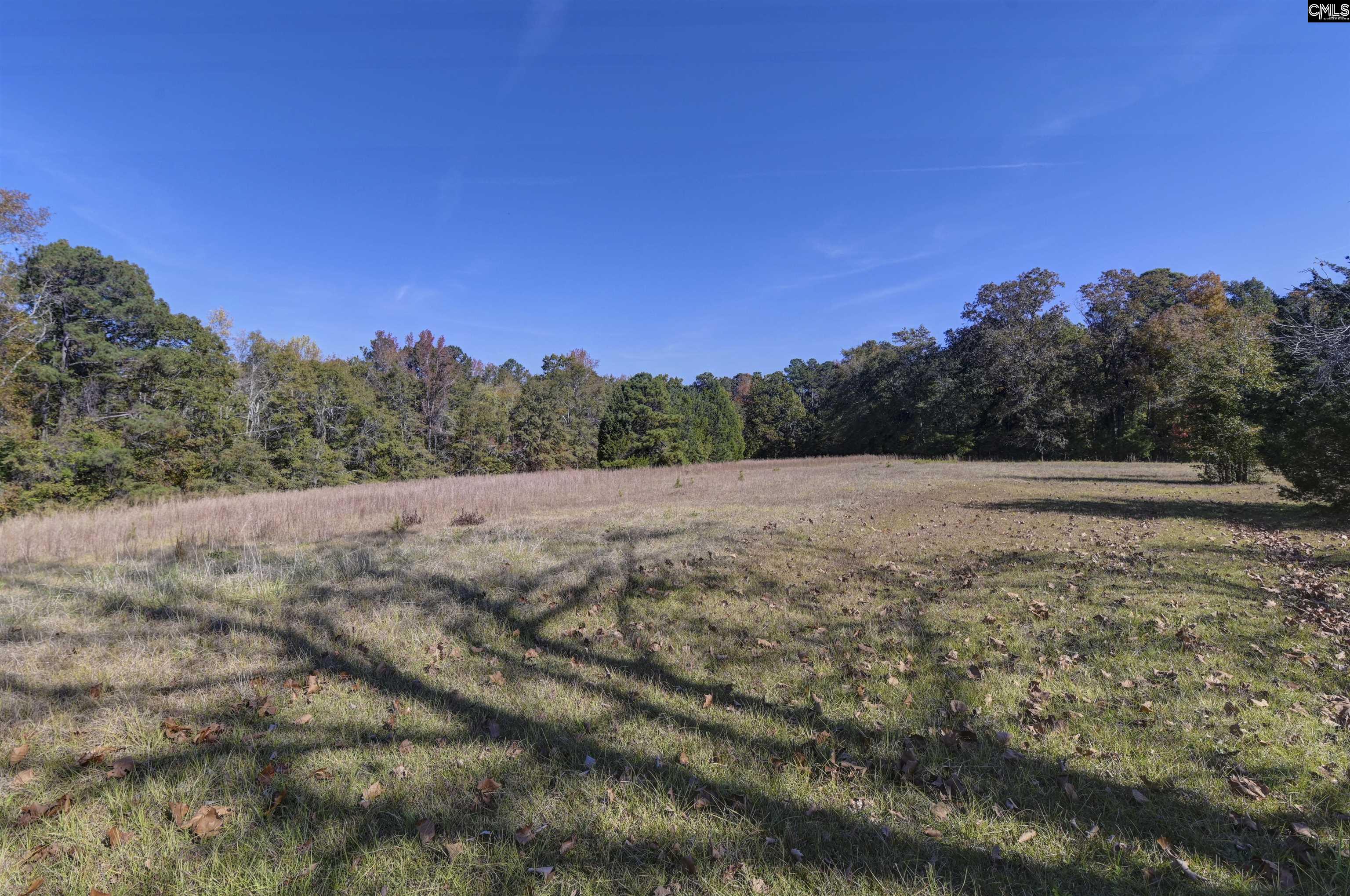 5346 Augusta Highway Leesville, SC 29070