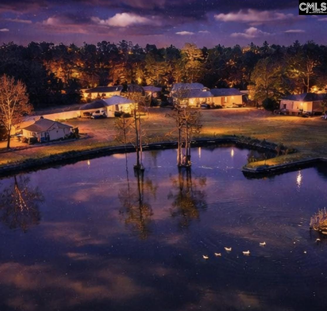 646 Briar Creek Road Branchville, SC 29432