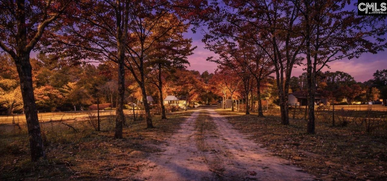 646 Briar Creek Road Branchville, SC 29432