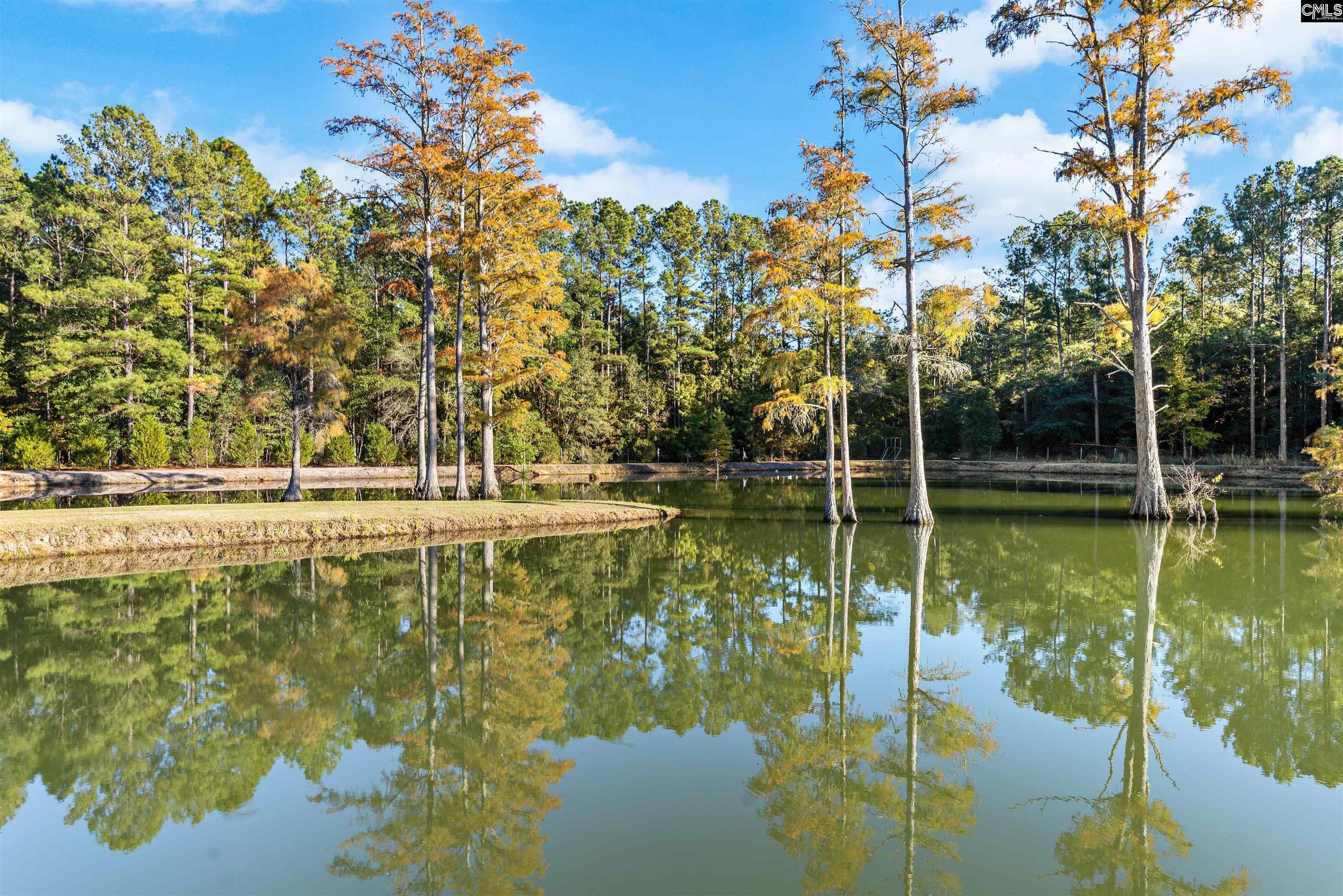 646 Briar Creek Road Branchville, SC 29432