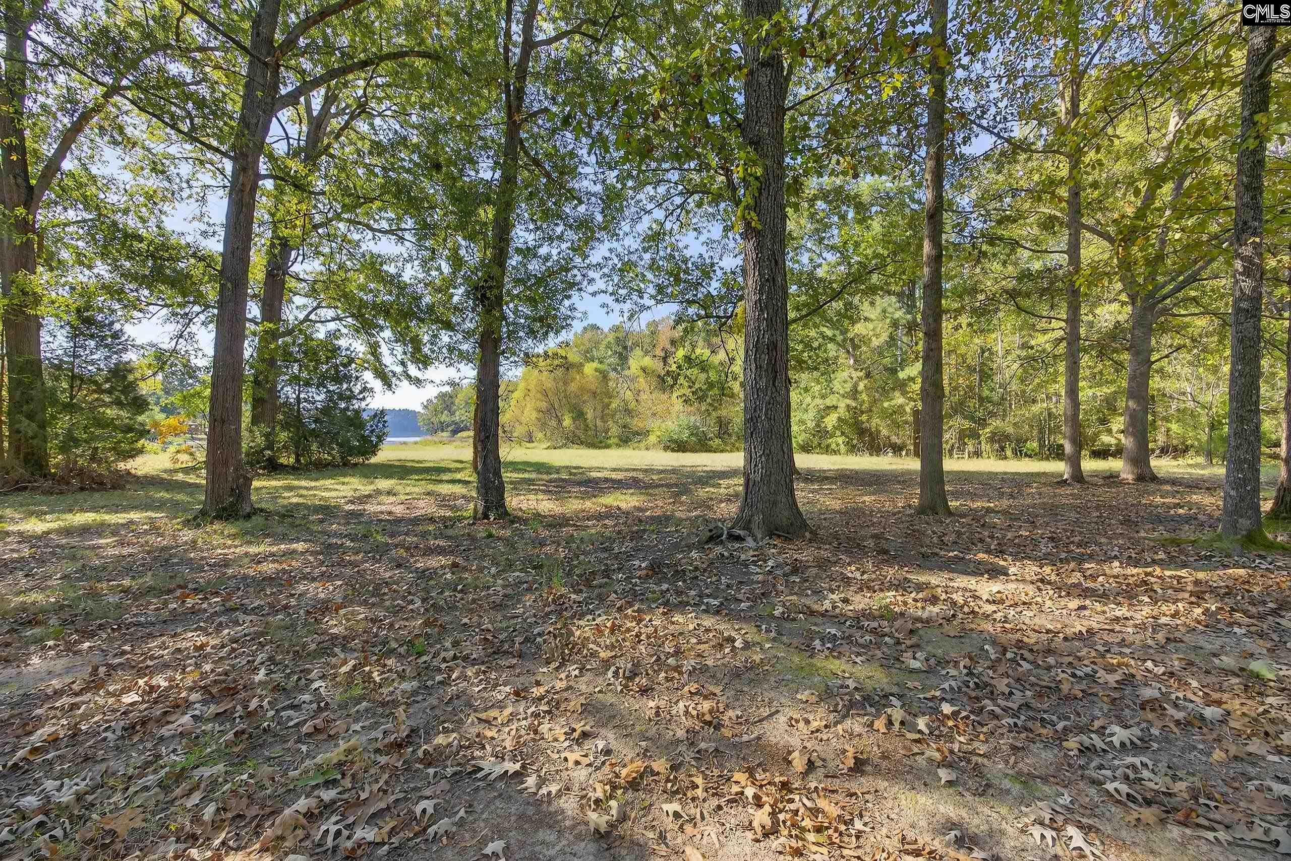 1109 Natures Cove Rd Saluda, SC 29138