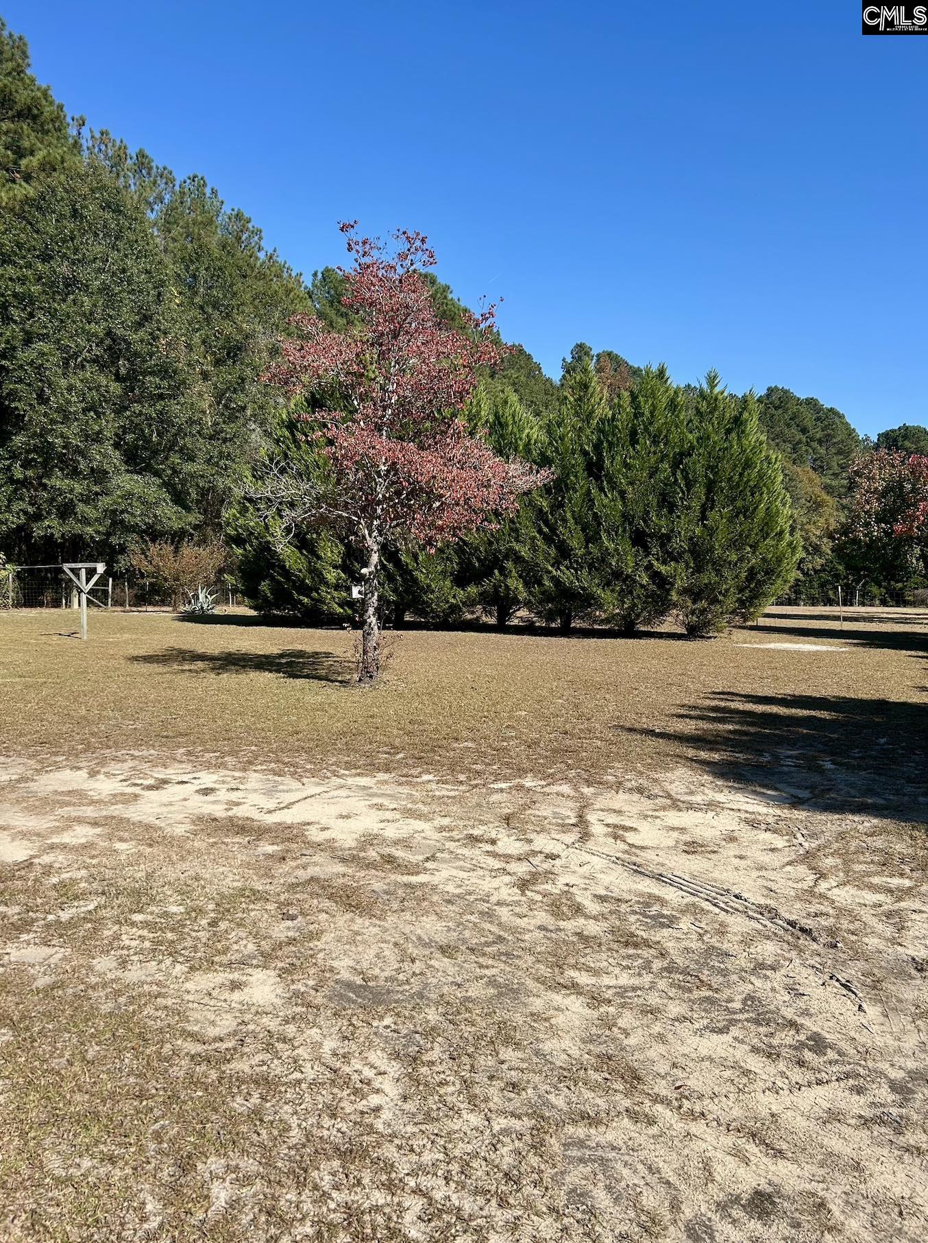 668 Briar Creek Road Branchville, SC 29432