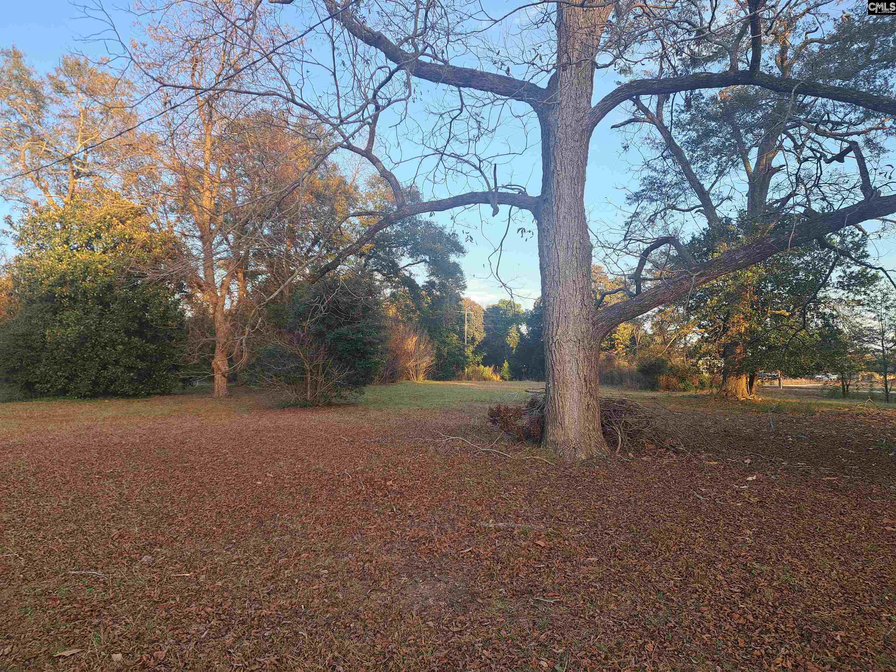 6715 Young Street Rembert, SC 29128