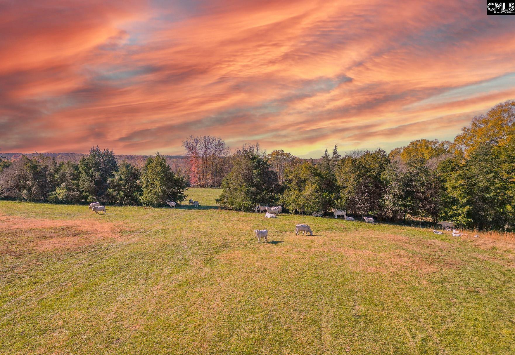 1049 Culp Ferguson Road Lancaster, SC 29720