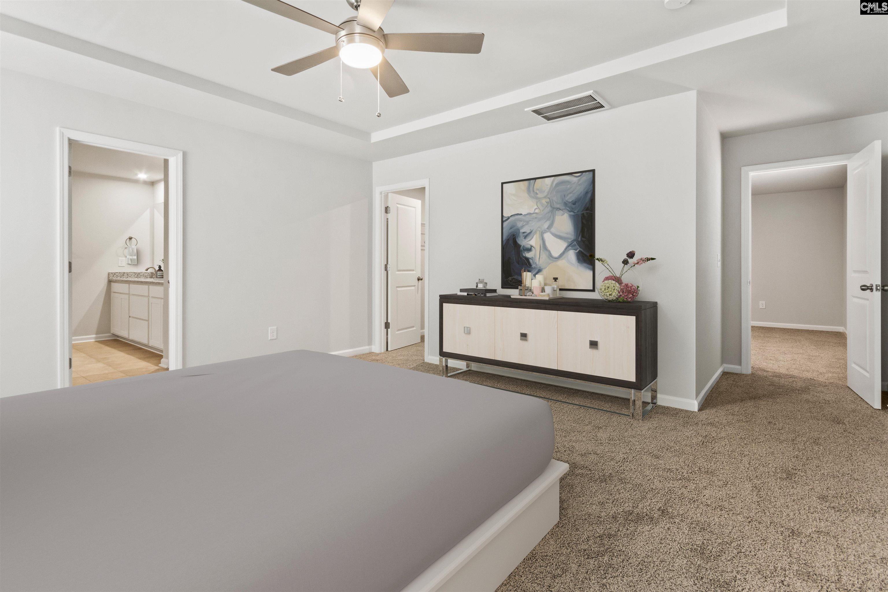 354 Chapin Place Way Chapin, SC 29036