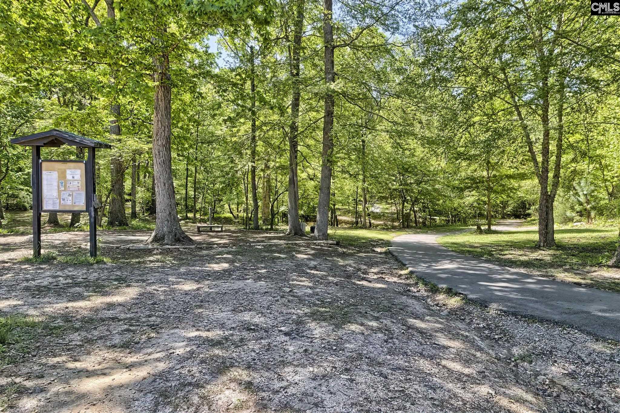 354 Chapin Place Way Chapin, SC 29036
