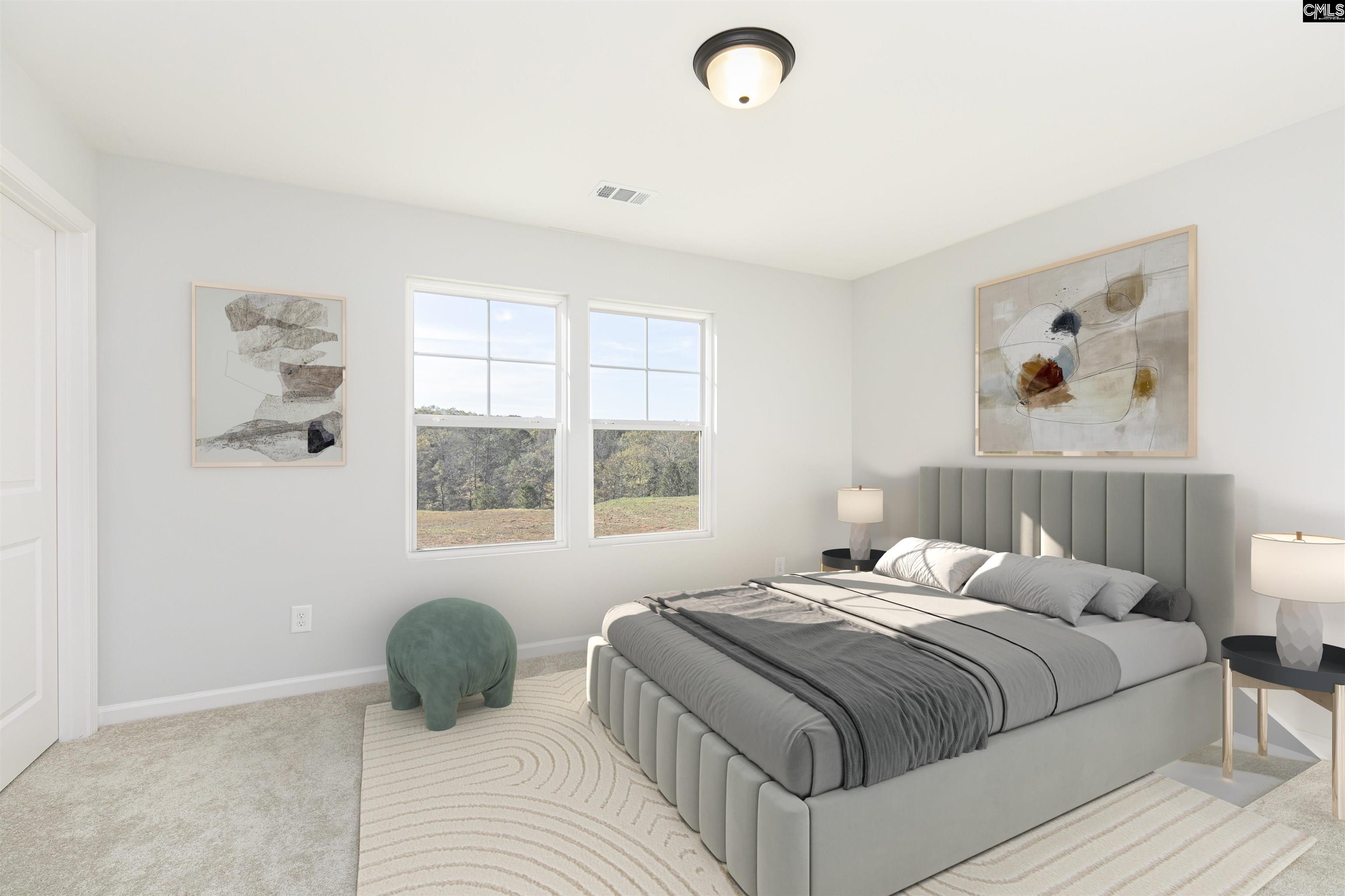 354 Chapin Place Way Chapin, SC 29036