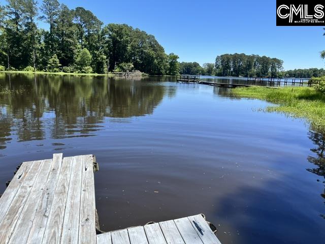 139 Harbors End Drive Saluda, SC 29138-0000