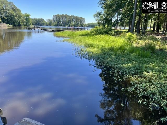 139 Harbors End Drive Saluda, SC 29138-0000