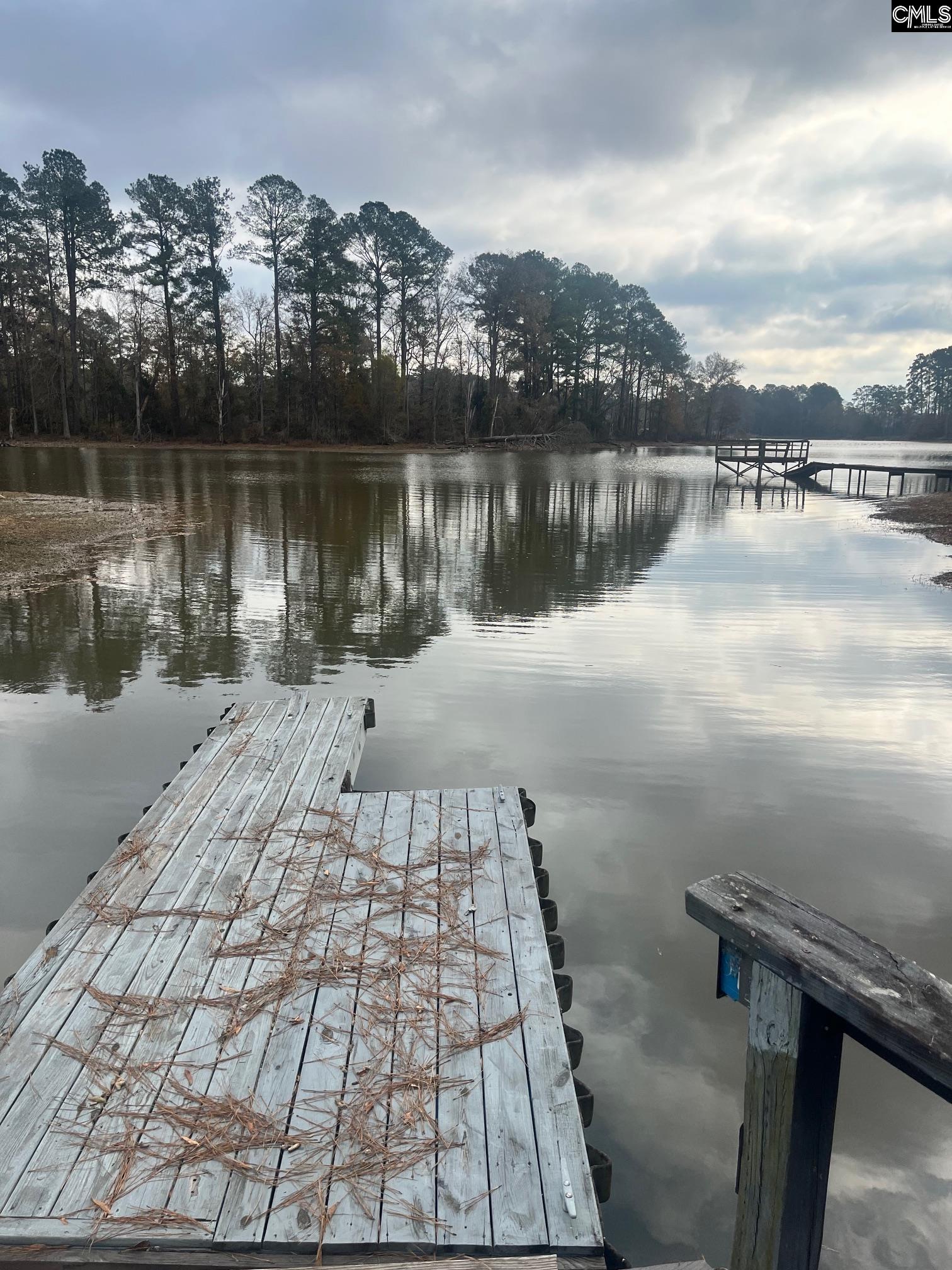 139 Harbors End Drive Saluda, SC 29138-0000