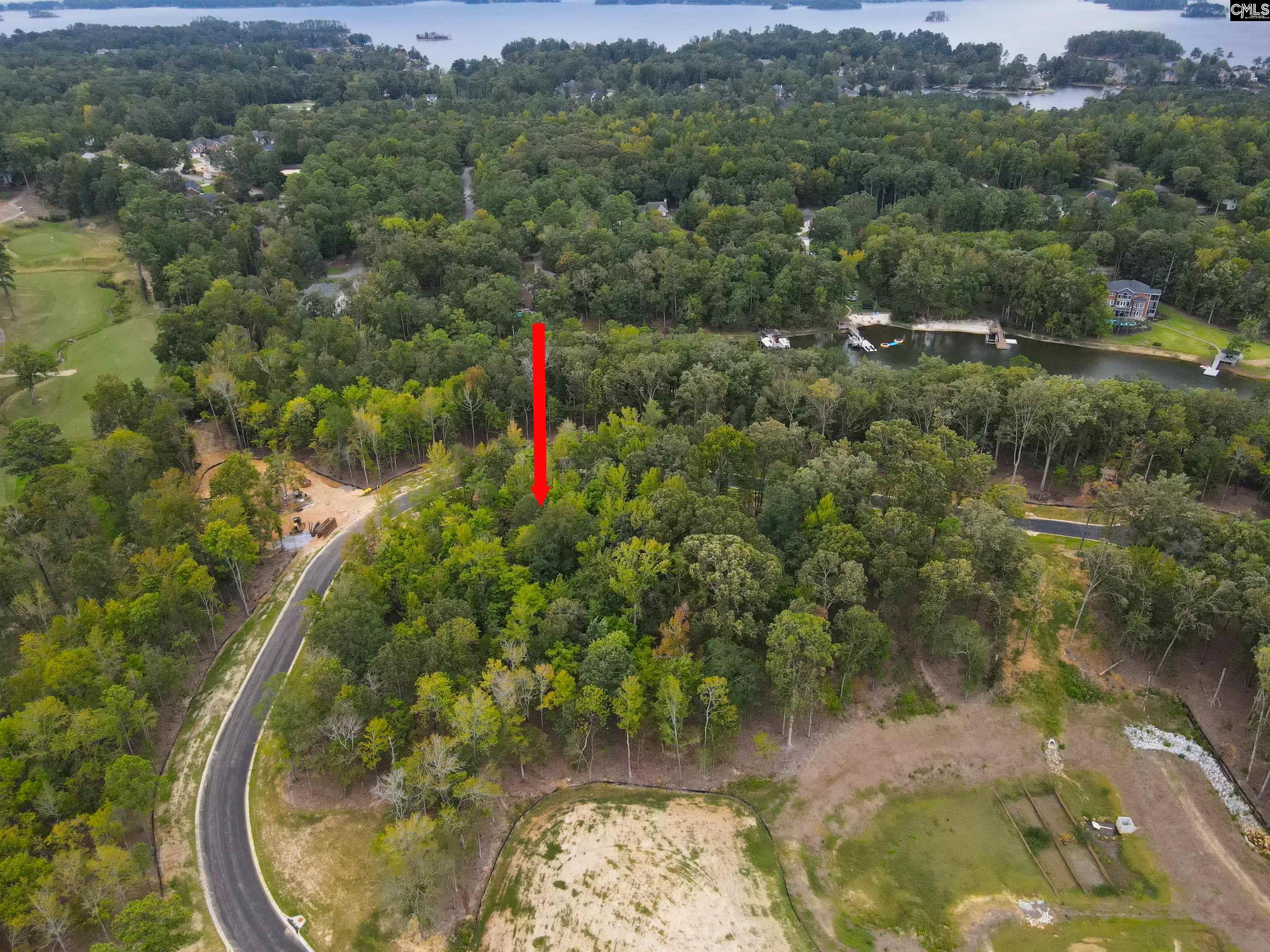 1064 Refuge Pl UNIT #46 Chapin, SC 29036