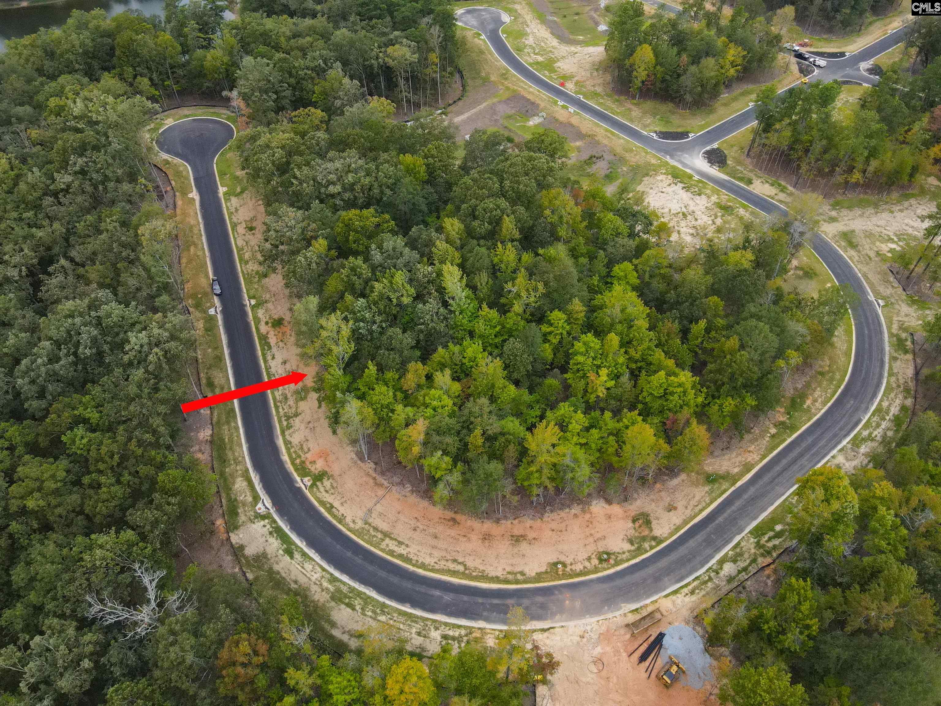 1064 Refuge Pl UNIT #46 Chapin, SC 29036