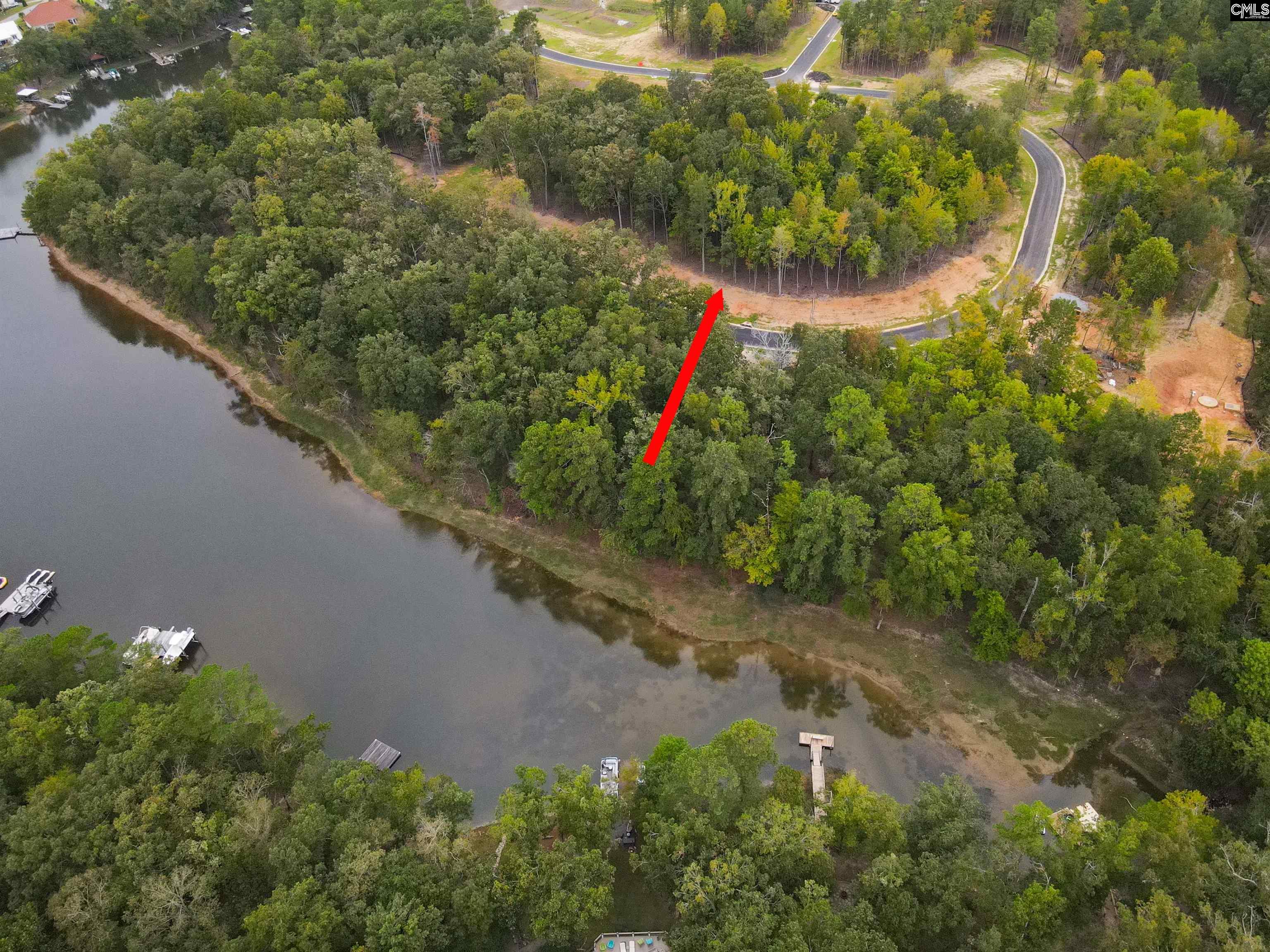 1064 Refuge Pl UNIT #46 Chapin, SC 29036