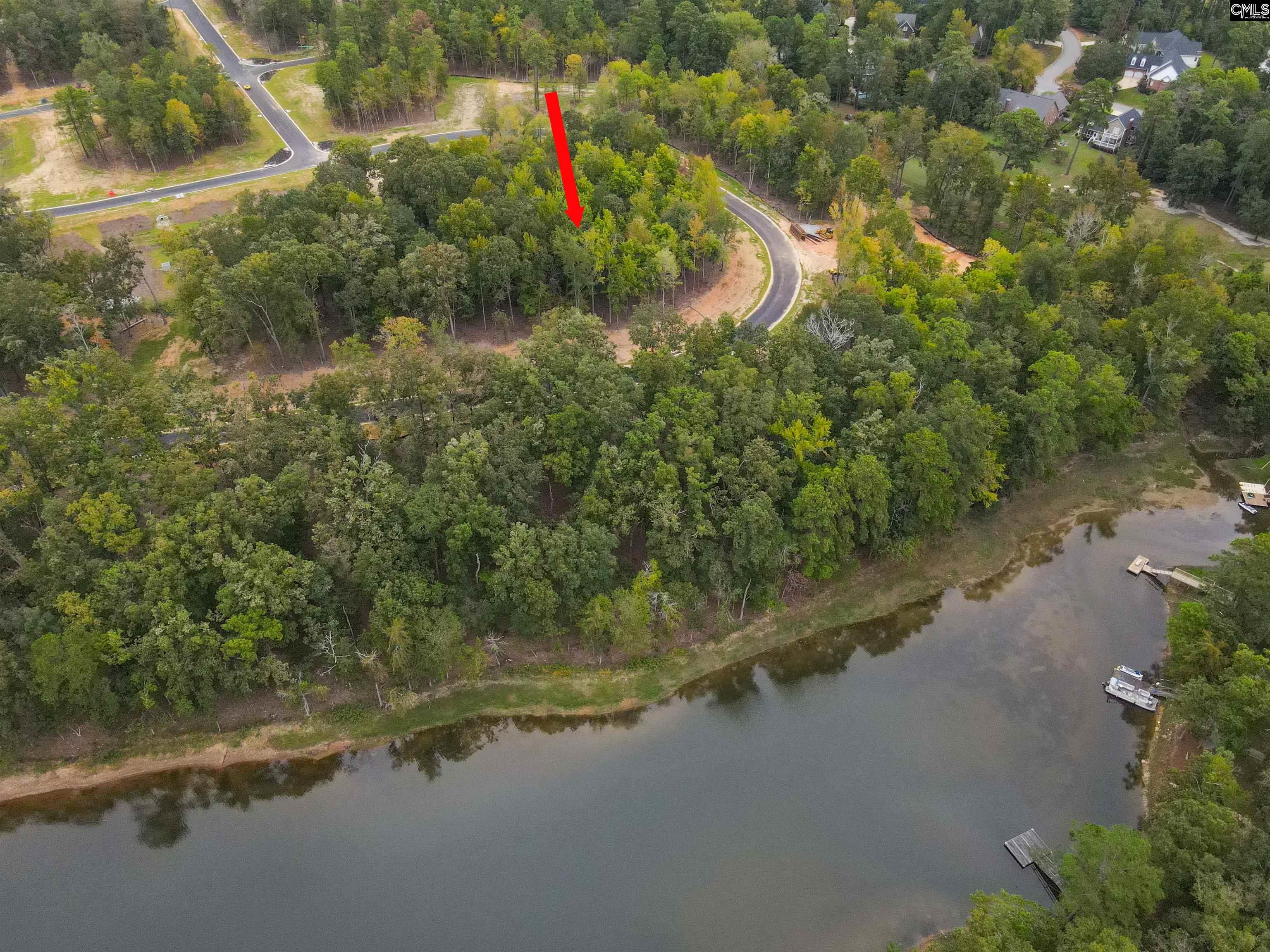1064 Refuge Pl UNIT #46 Chapin, SC 29036