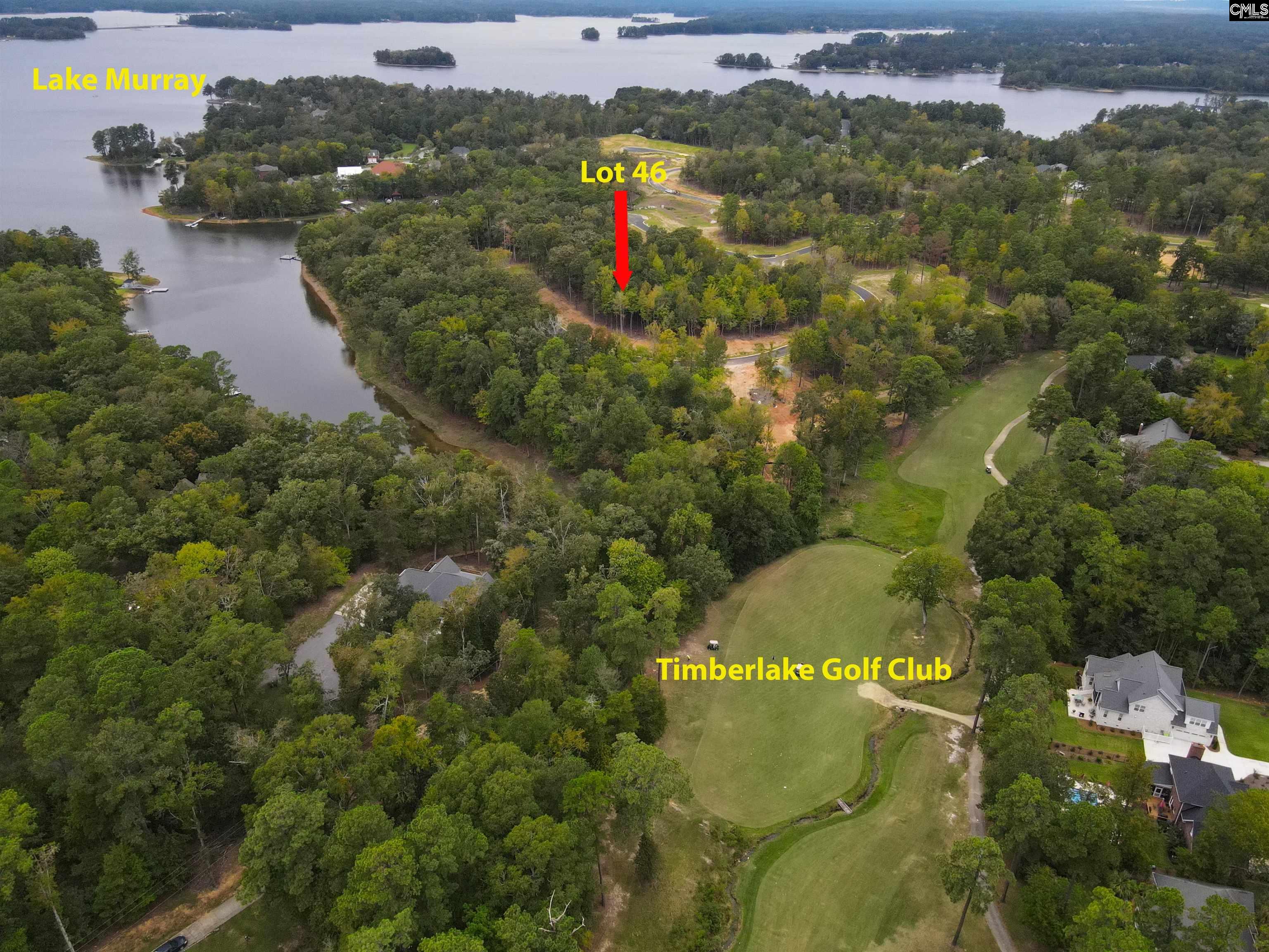 1064 Refuge Pl UNIT #46 Chapin, SC 29036