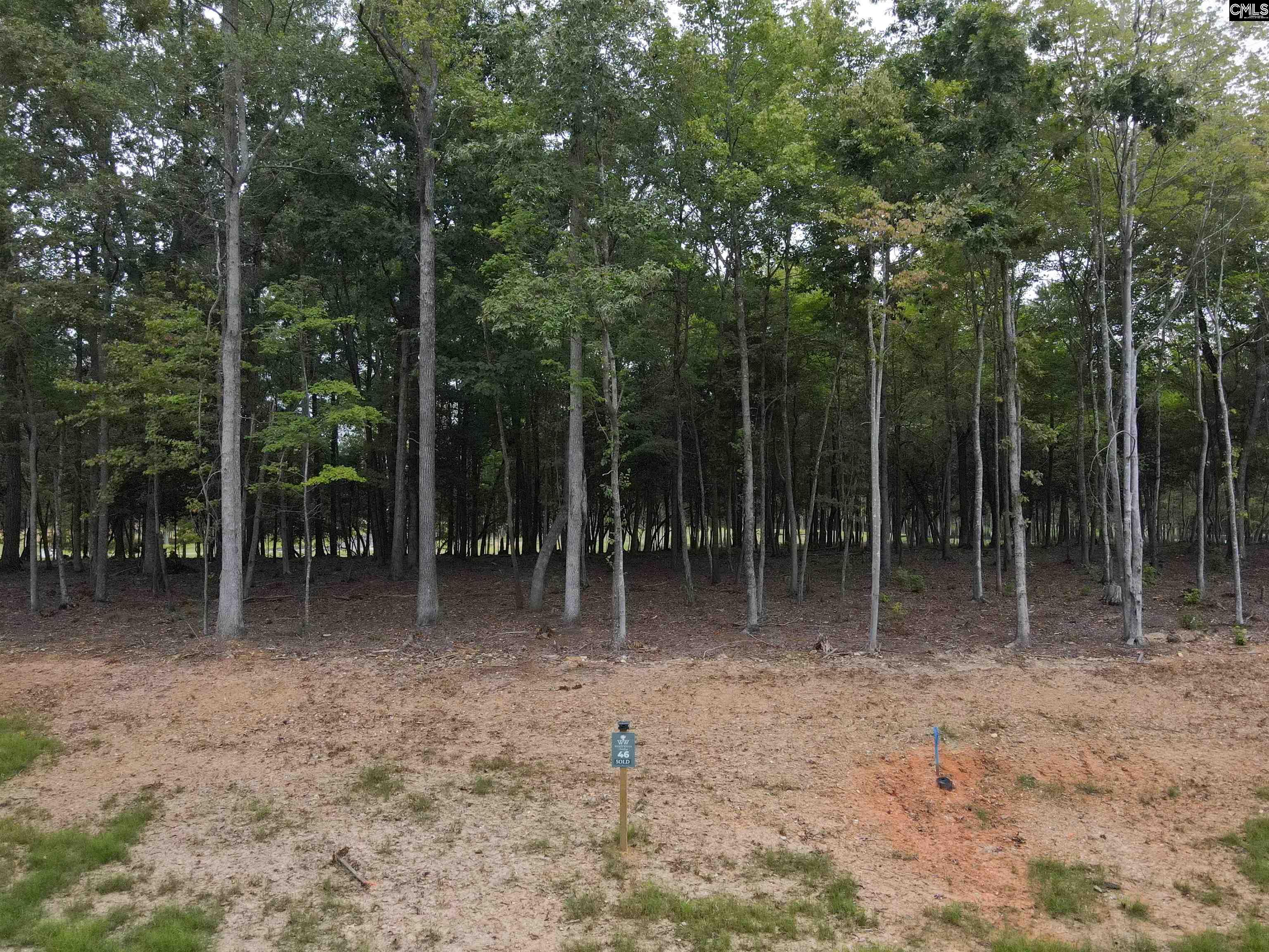 1064 Refuge Pl UNIT #46 Chapin, SC 29036