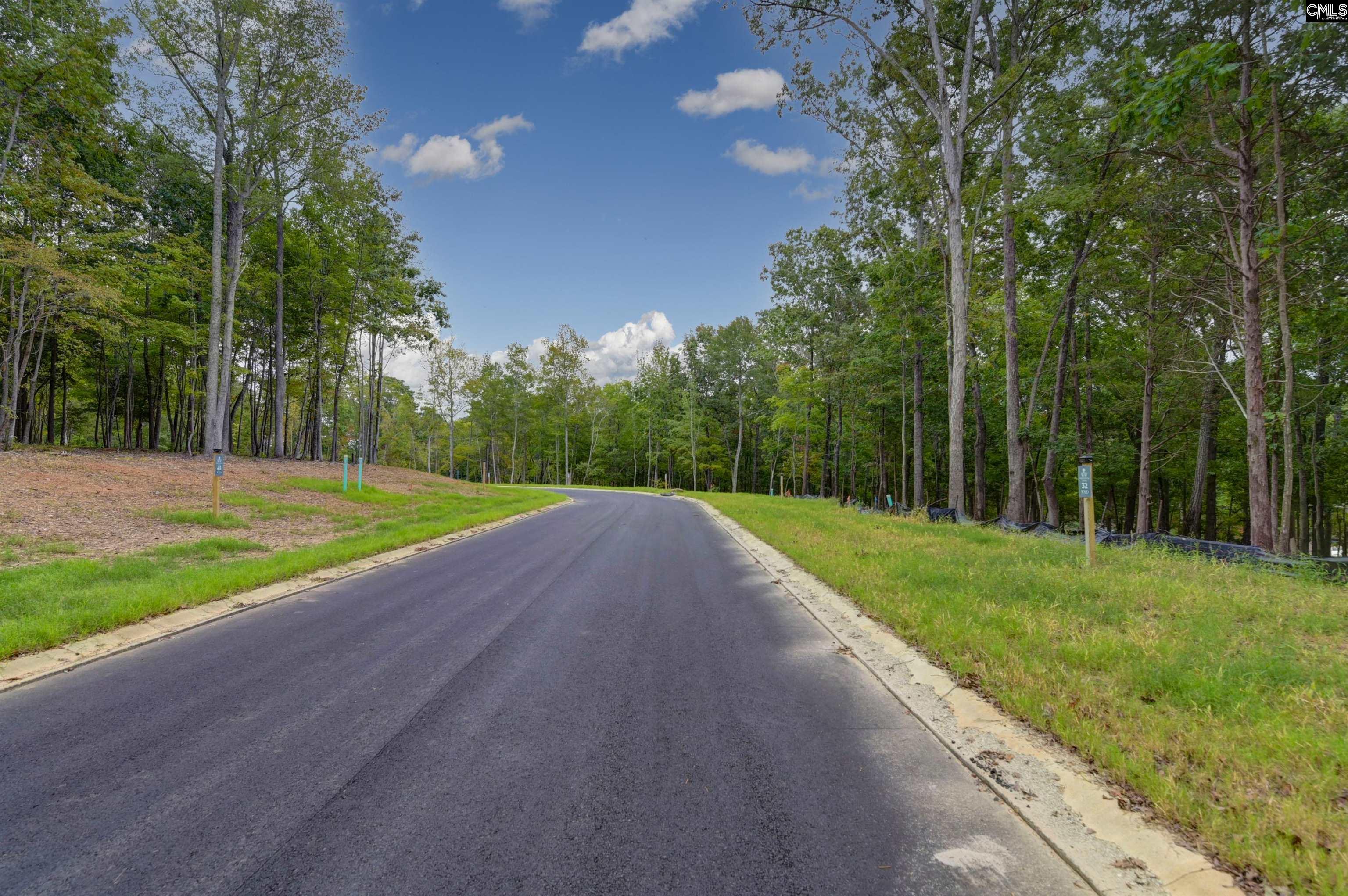 1068 Refuge Pl UNIT #45 Chapin, SC 29036