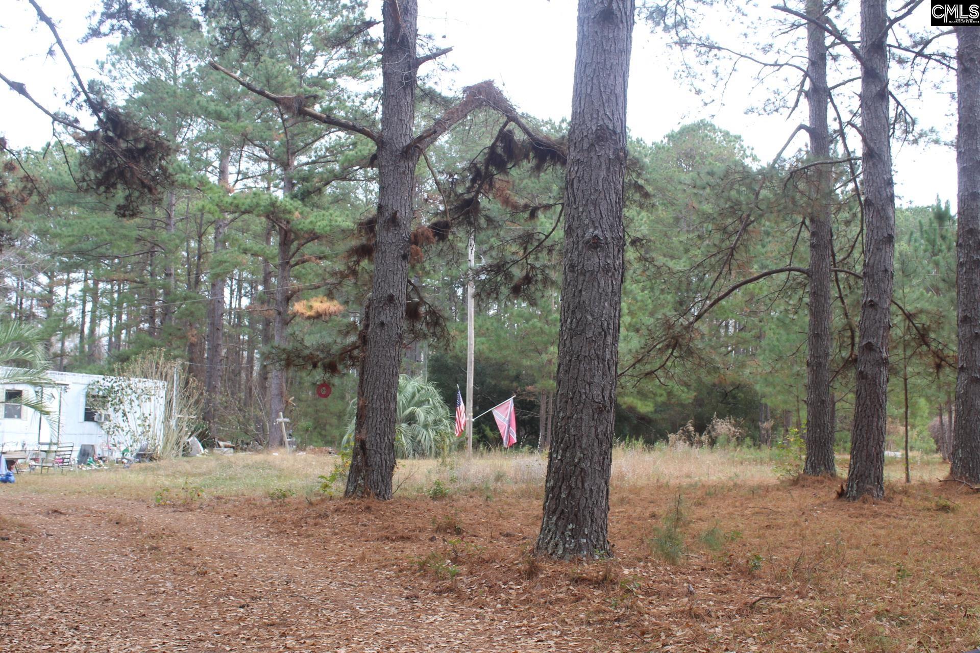 220 Ivory Street Cope, SC 29038