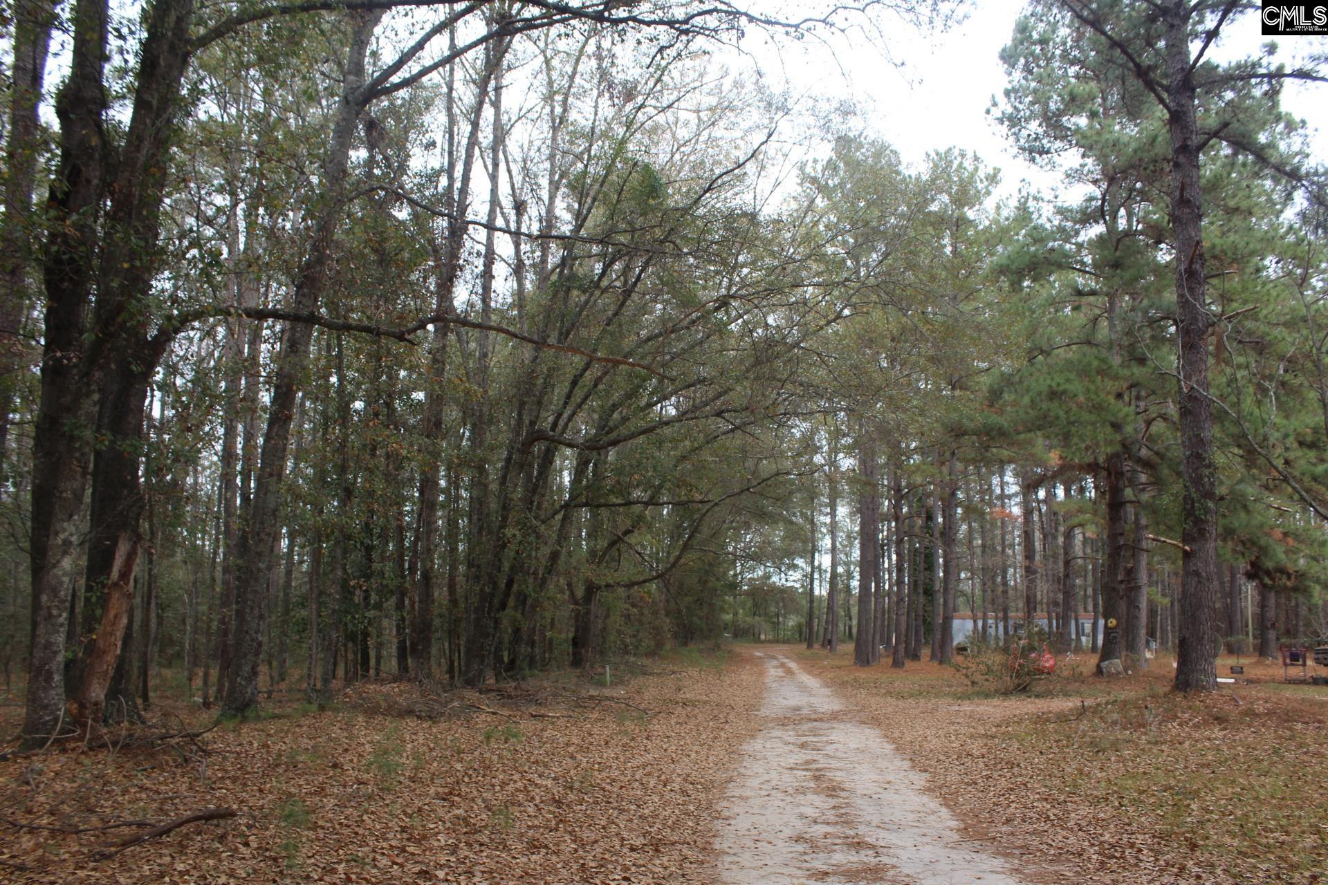 220 Ivory Street Cope, SC 29038