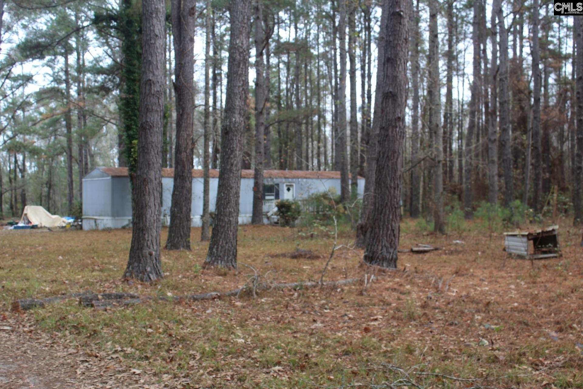 220 Ivory Street Cope, SC 29038