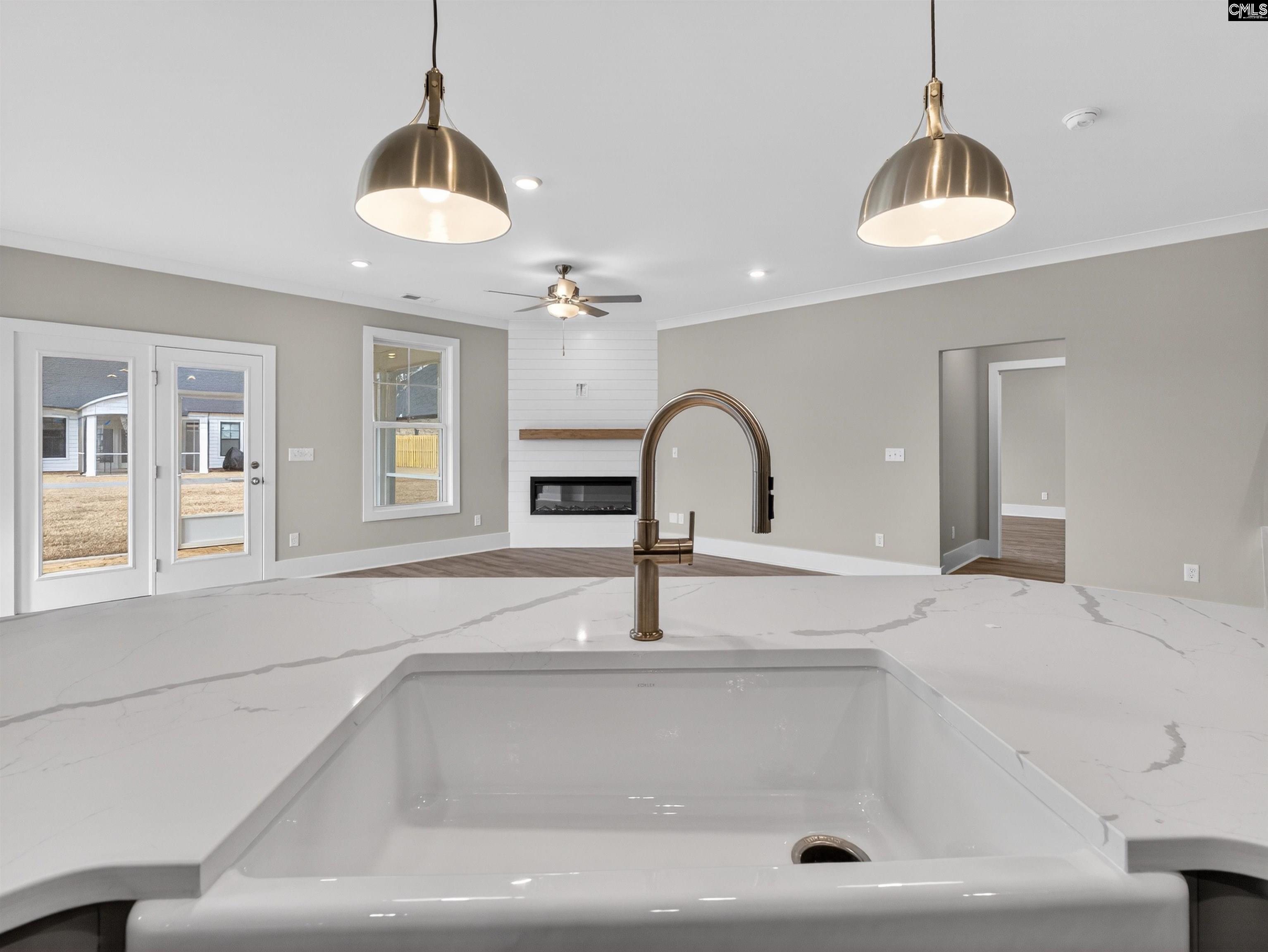 29 Elk Run Court Chapin, SC 29036