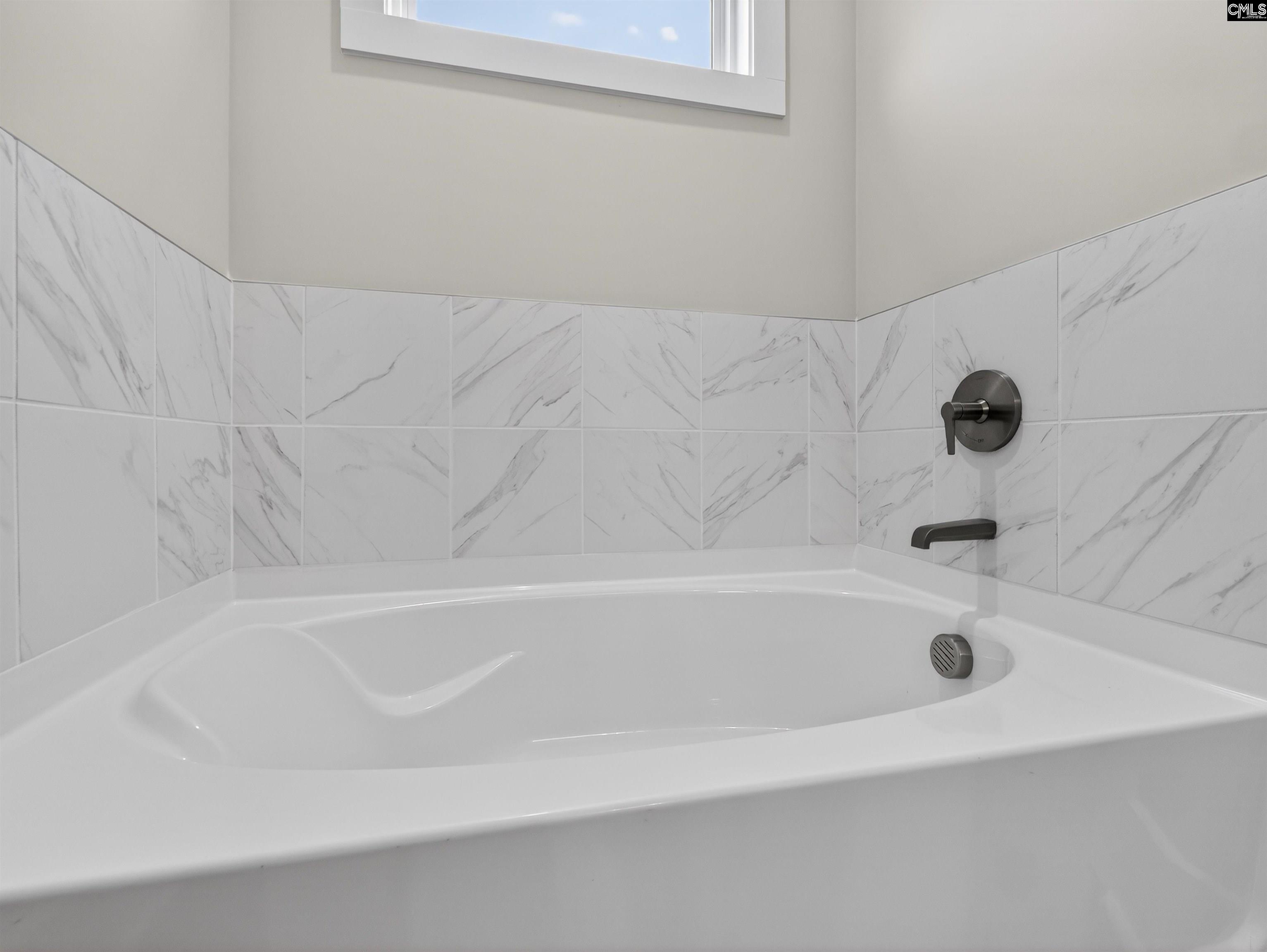 29 Elk Run Court Chapin, SC 29036