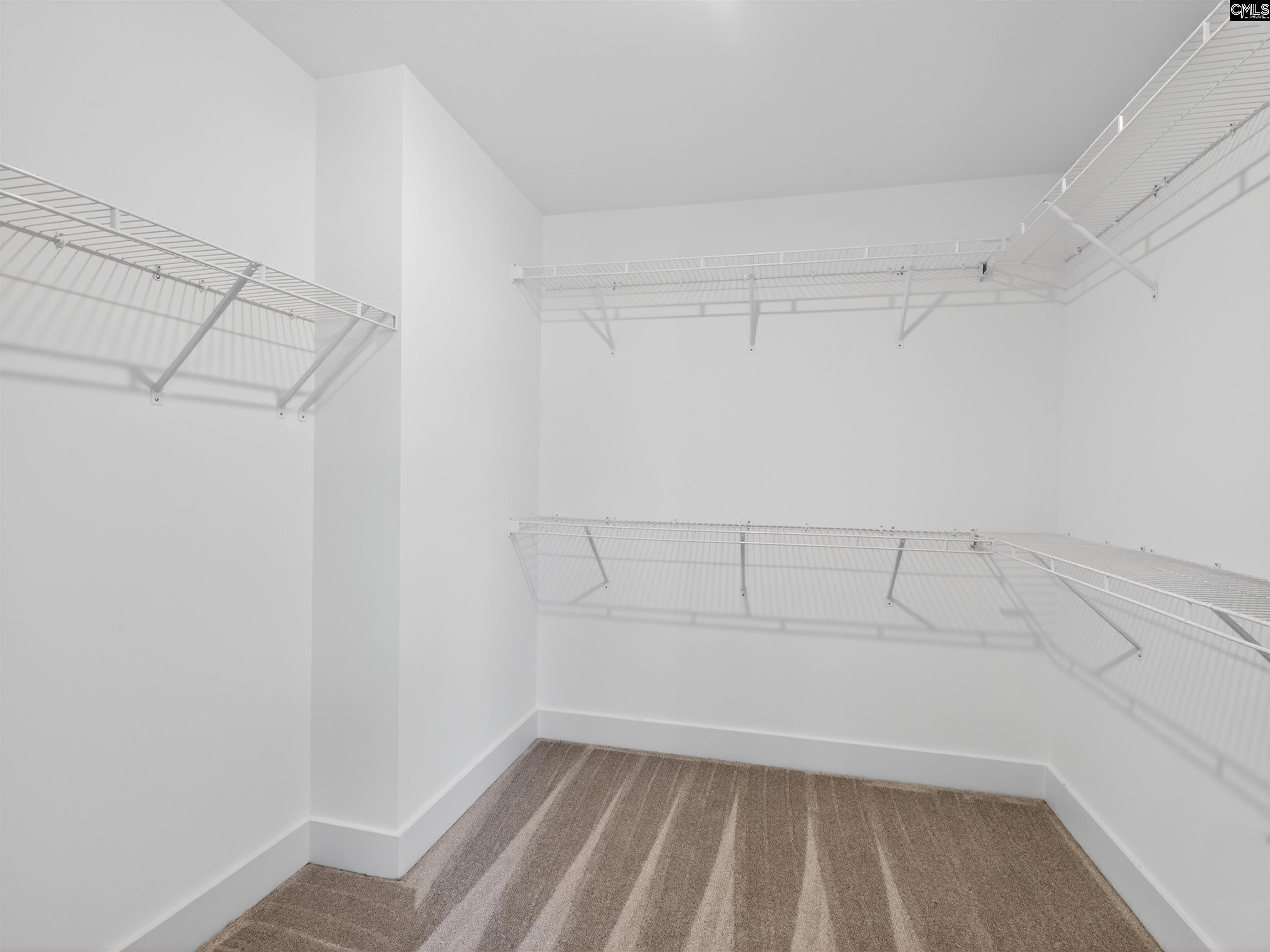 29 Elk Run Court Chapin, SC 29036