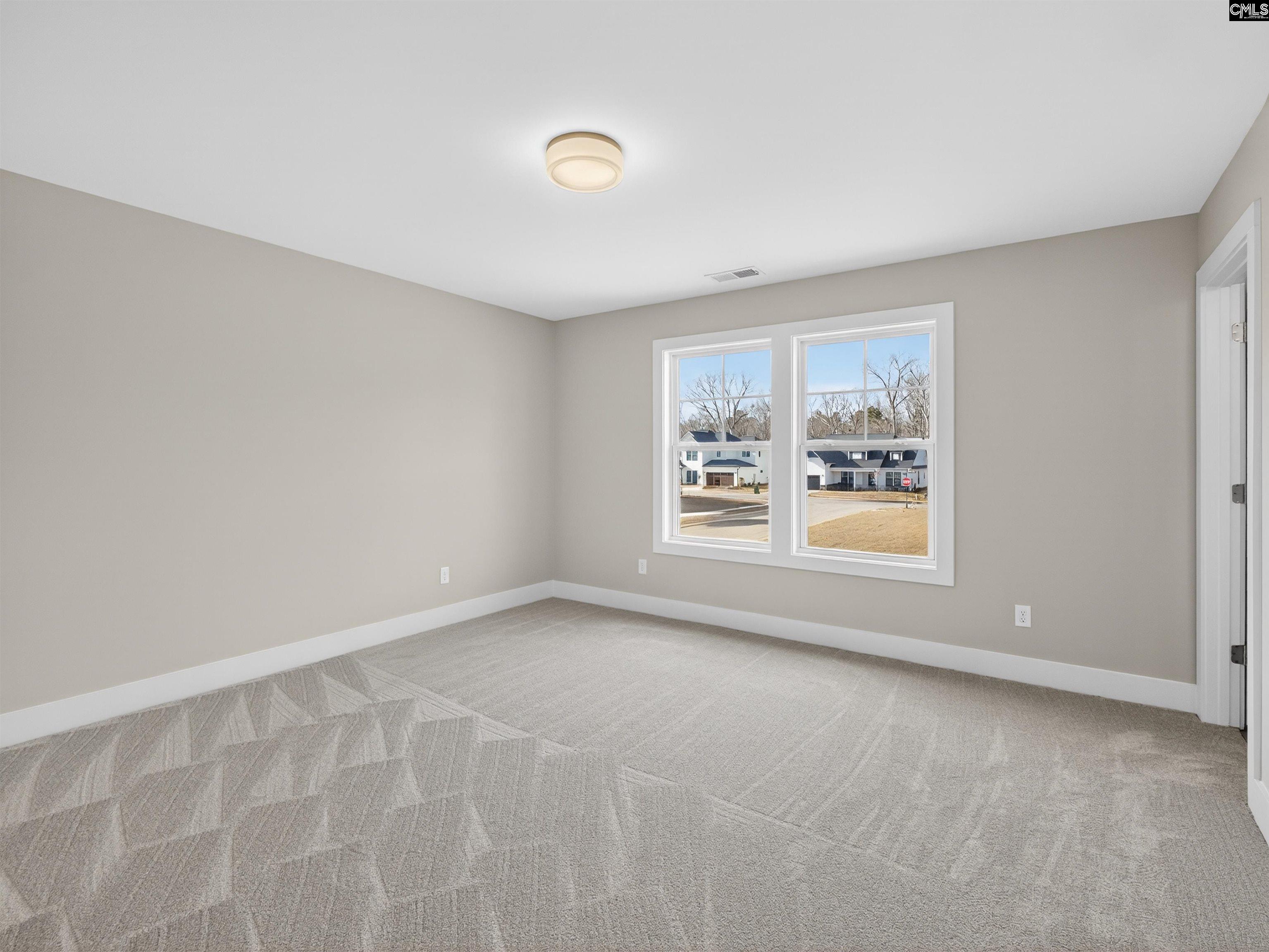 29 Elk Run Court Chapin, SC 29036