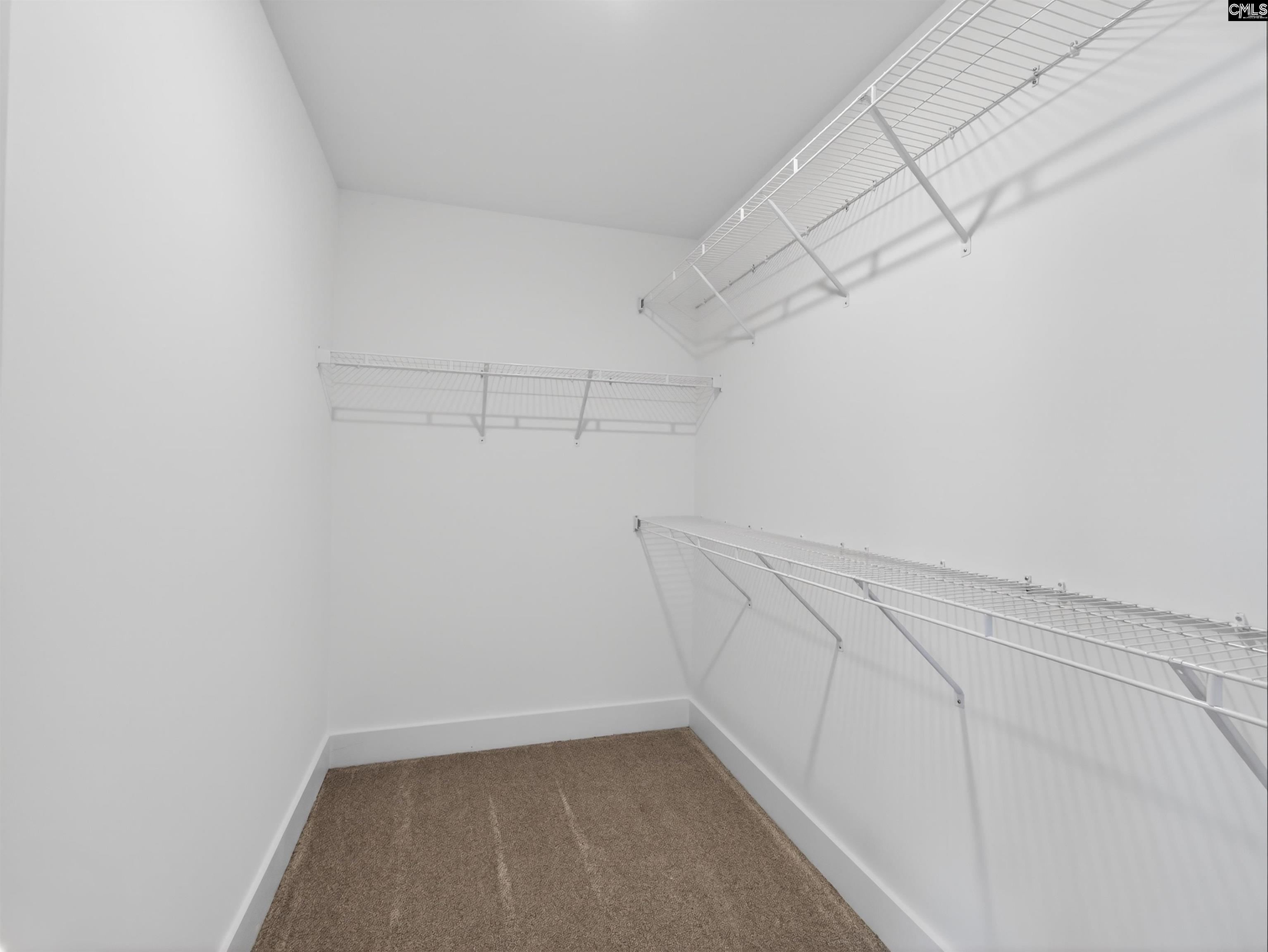29 Elk Run Court Chapin, SC 29036