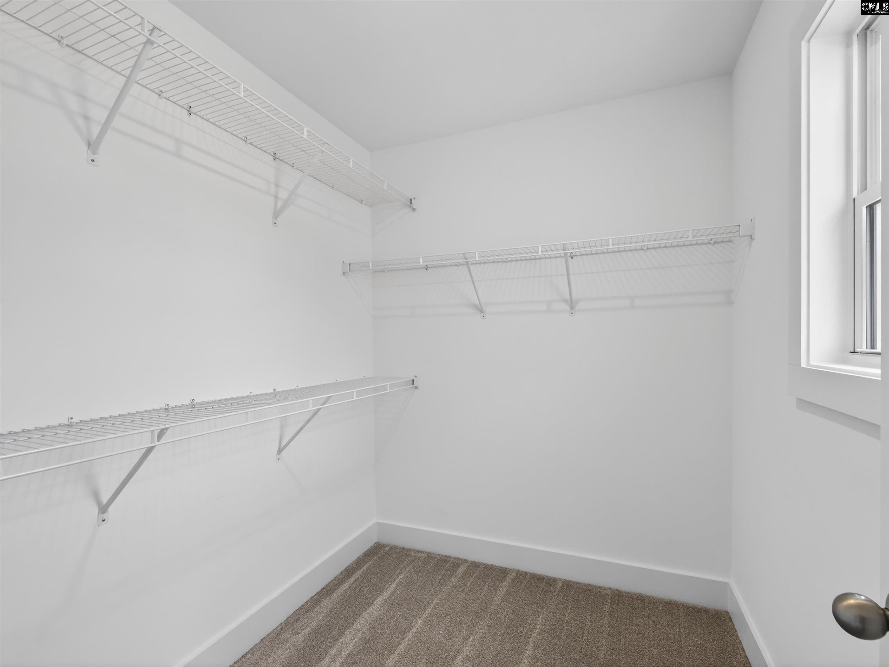 29 Elk Run Court Chapin, SC 29036