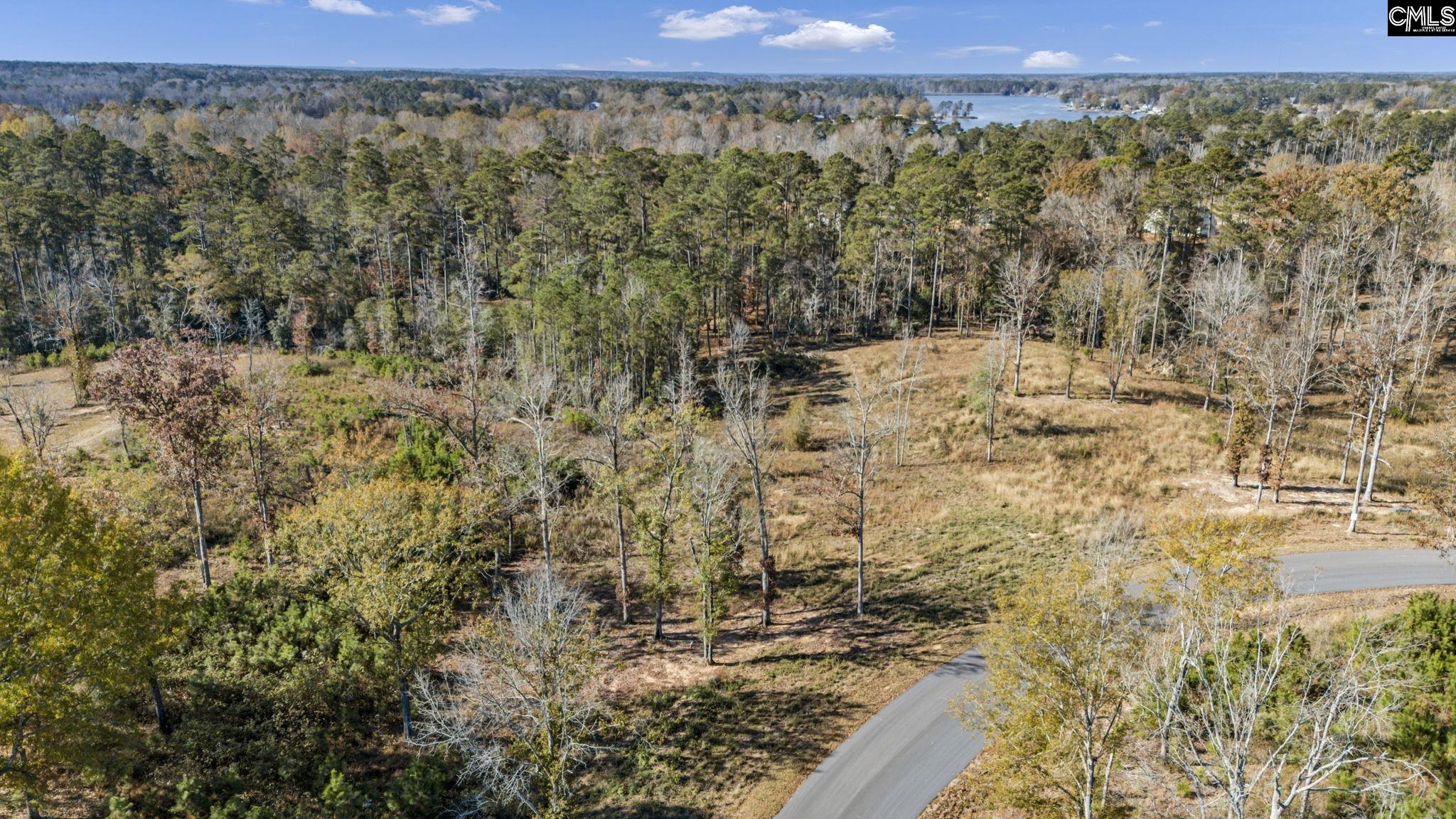 0 Woodside Shores Drive, Prosperity — photo 6