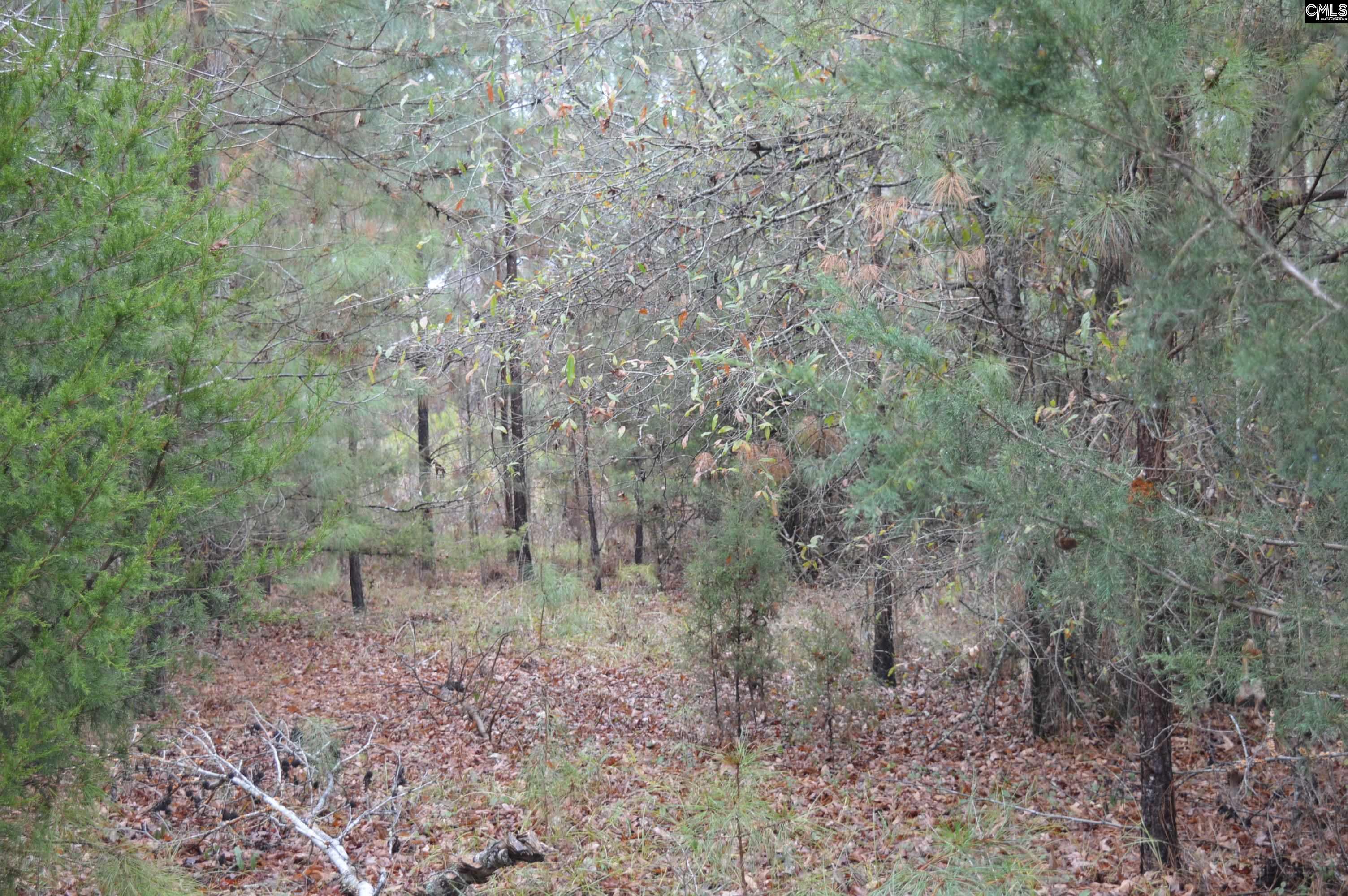 9 Nautical Drive Camden, SC 29020