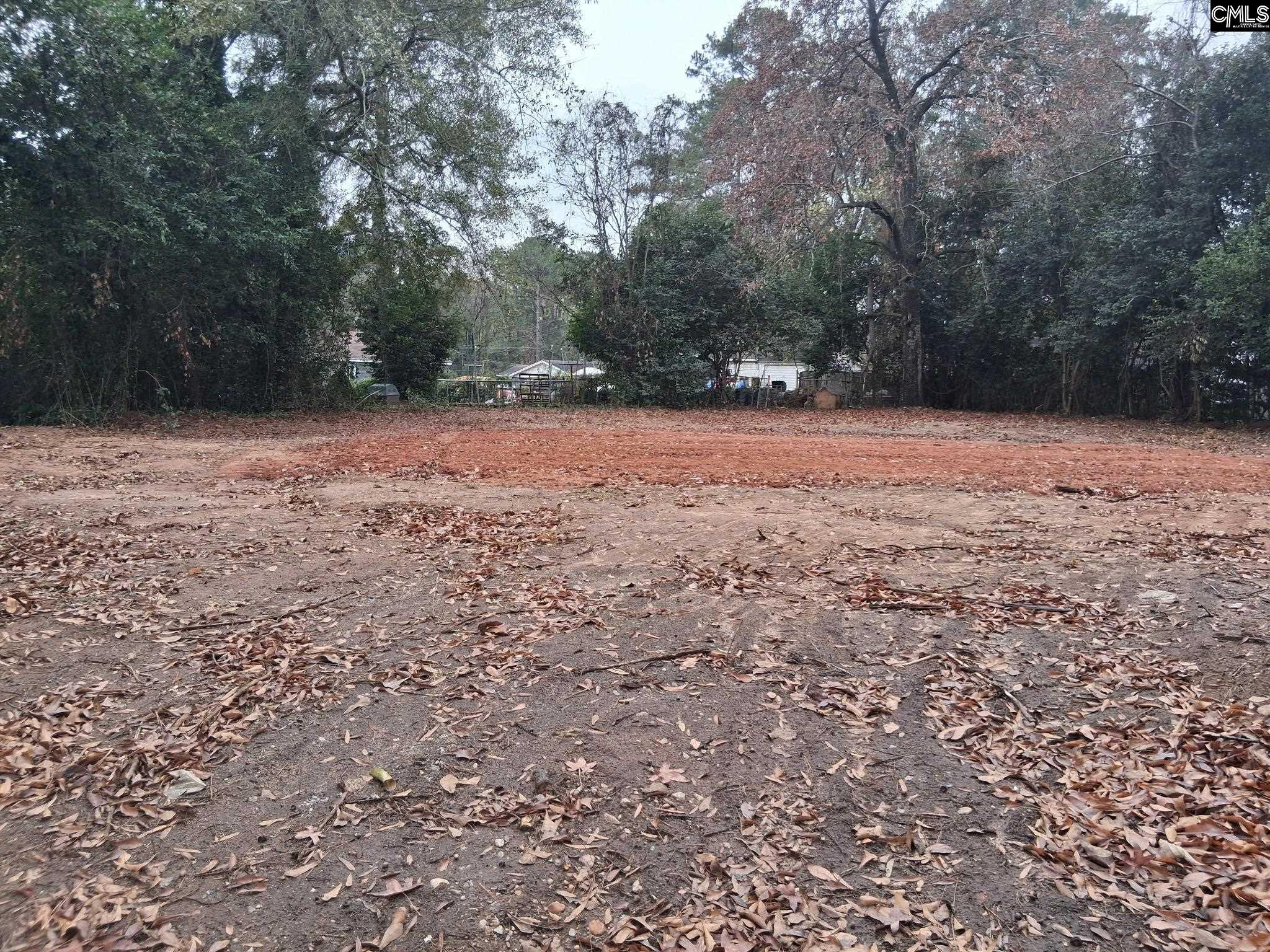 204 Miriam Avenue, Columbia — photo 2