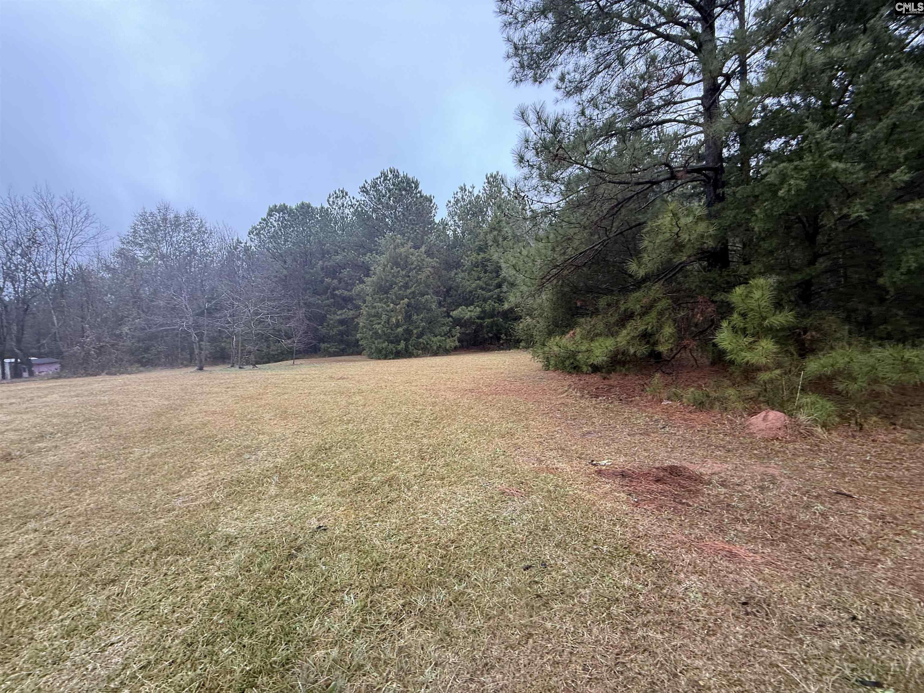 5163 Old Airport Road Winnsboro, SC 29180-6805