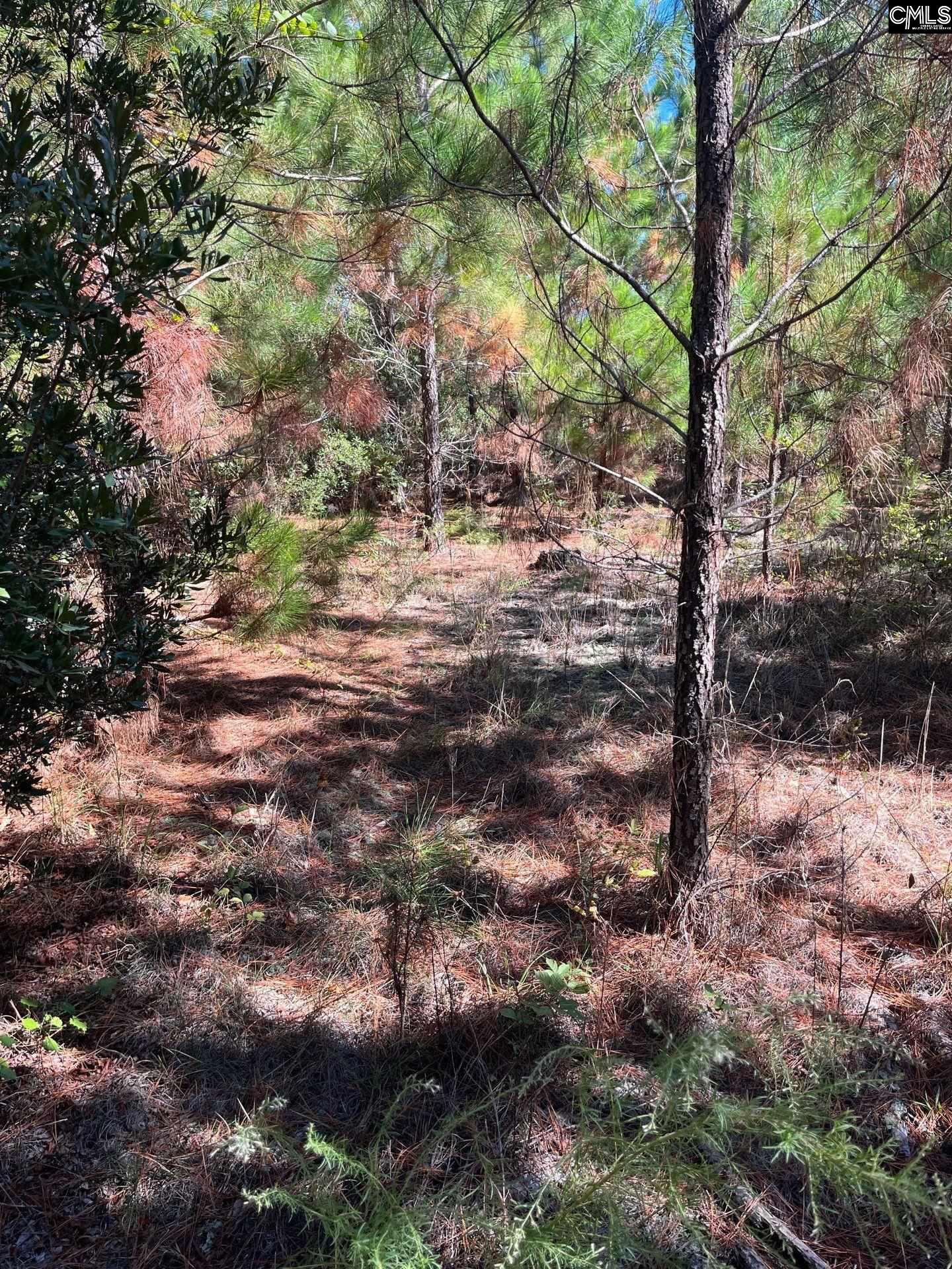 BFF 1E Brunson Teal Road UNIT BFF 1E Patrick, SC 29584