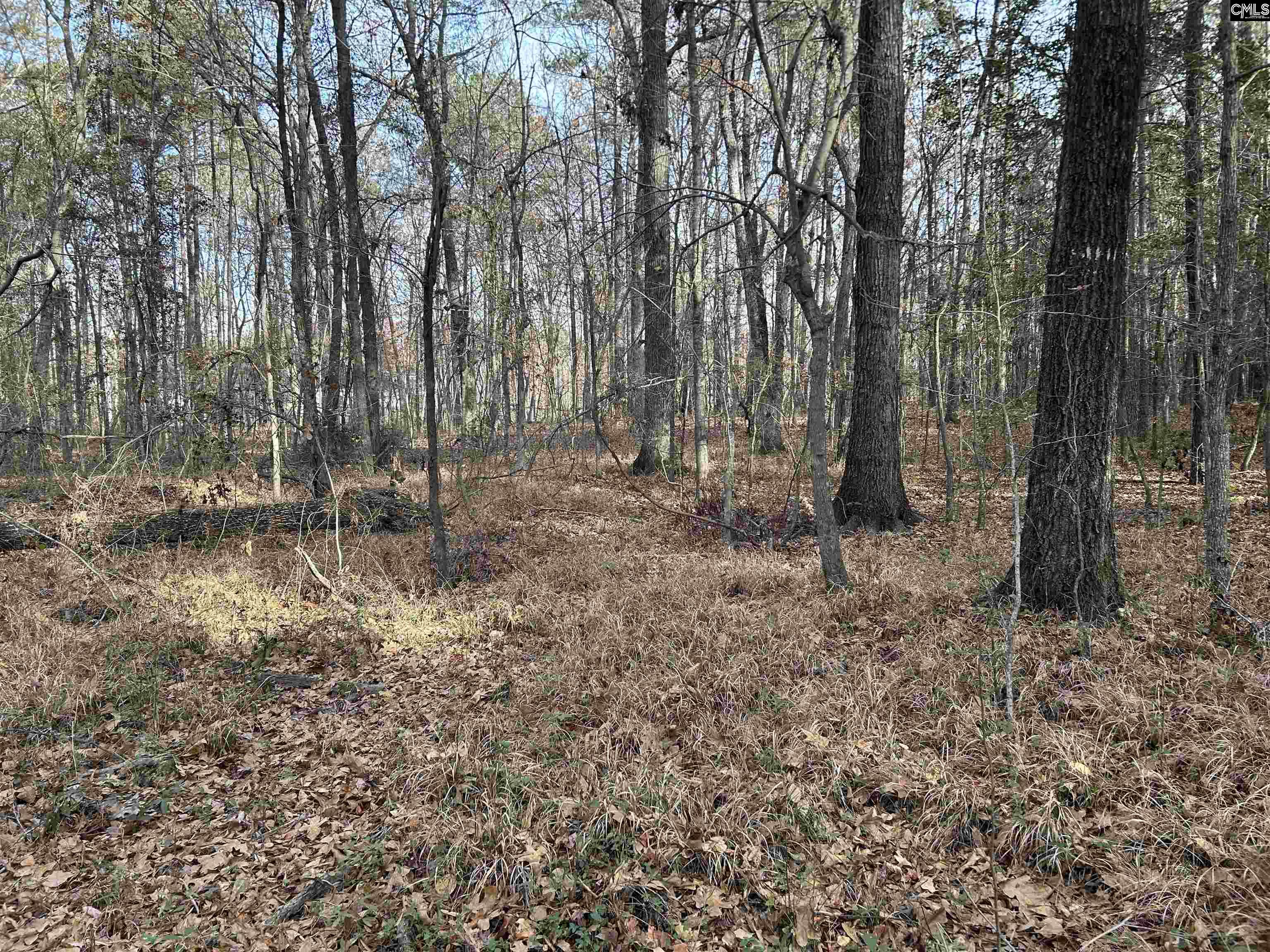 440 Paschal Road Elgin, SC 29045